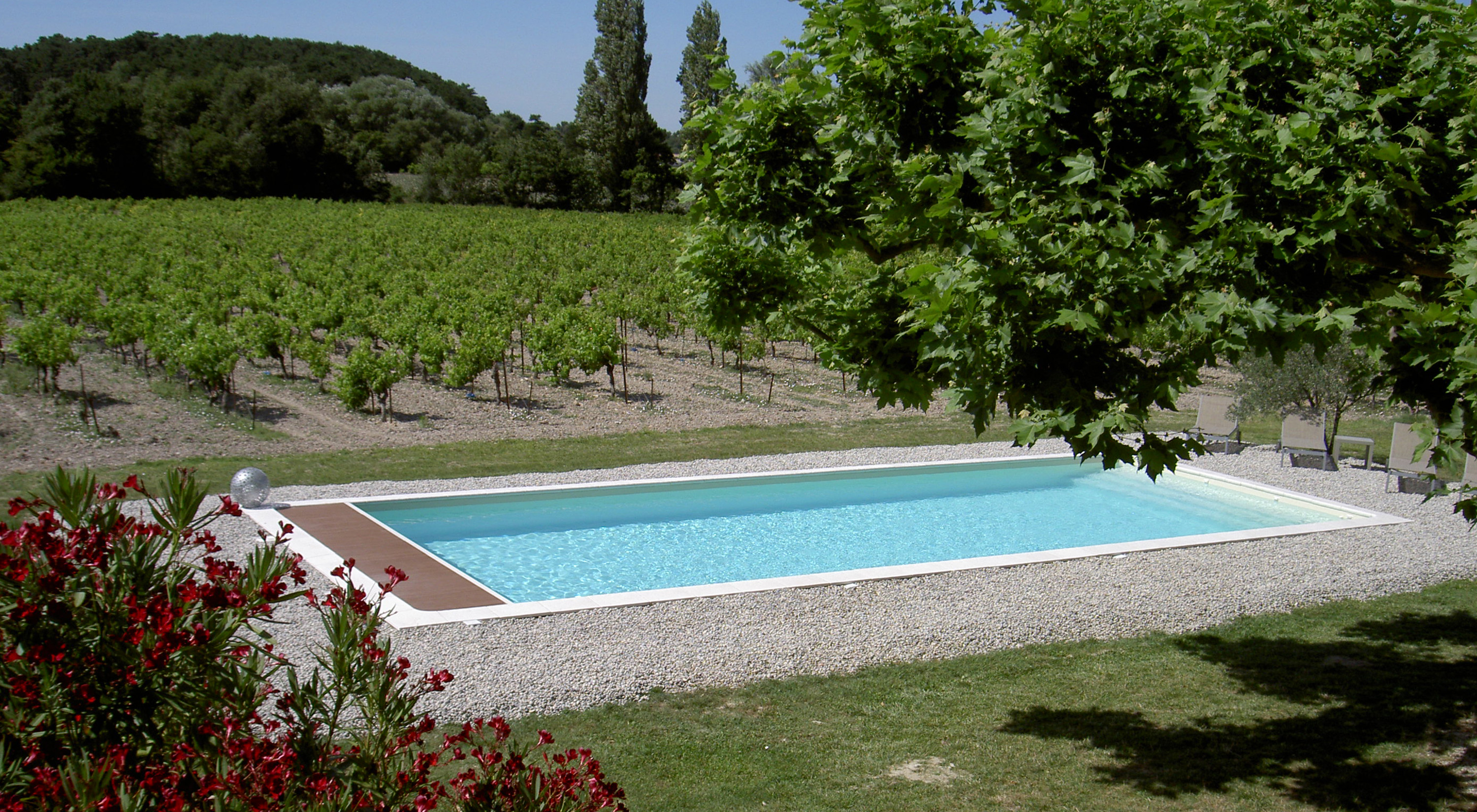 Swimming pool in the middle of the vineyard