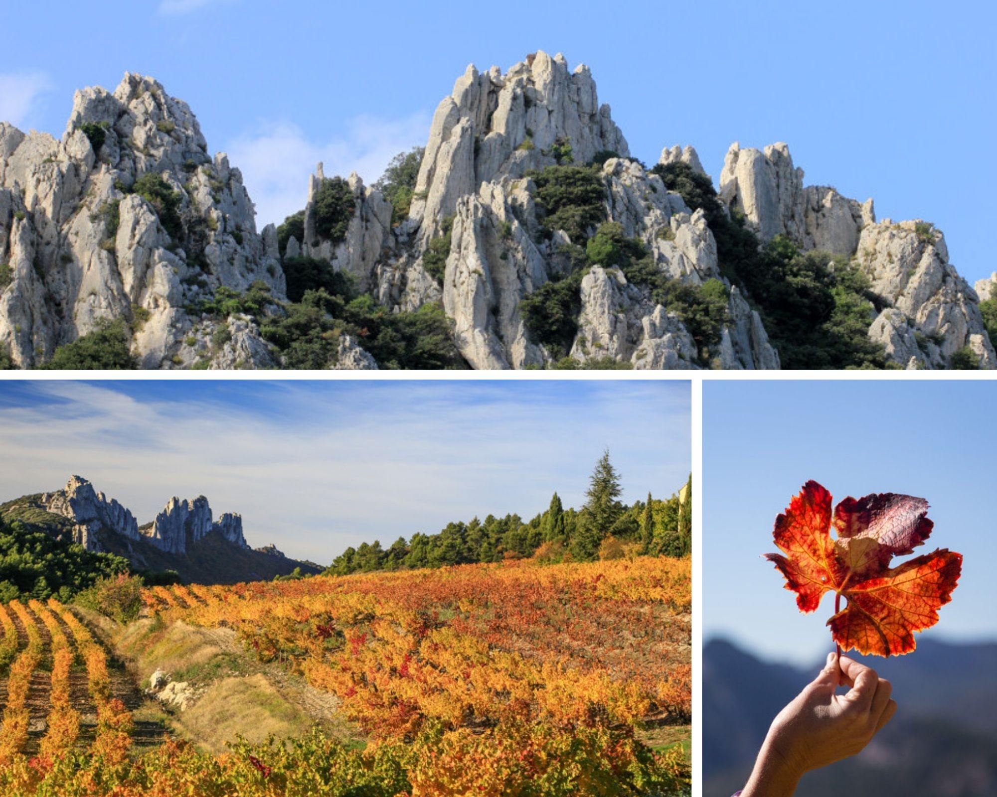 Discovering the Dentelles of Montmirail