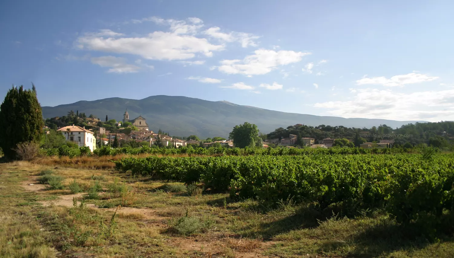 What to do in September in Provence?