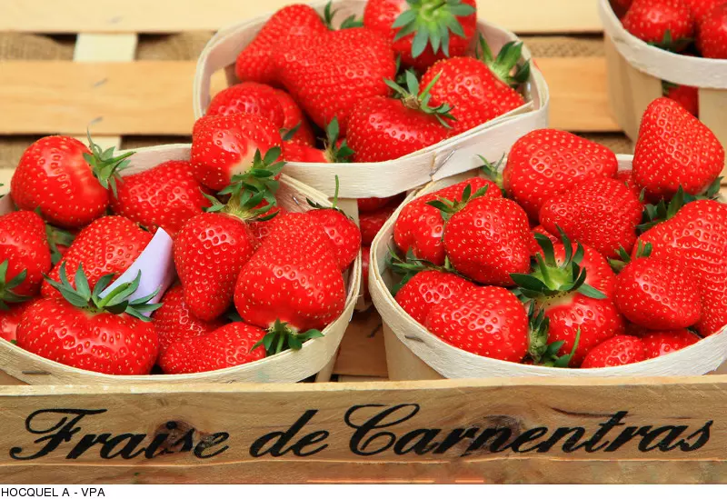 The famous Carpentras strawberries
