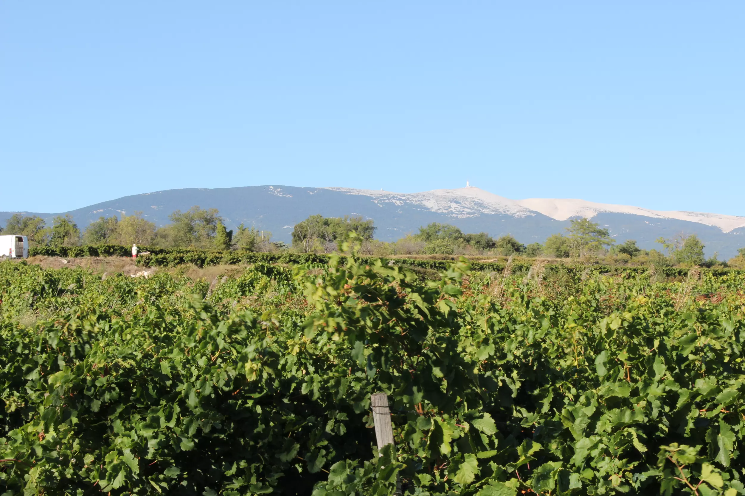 Sarrians, small provençal town in the Côte du Rhone vineyards