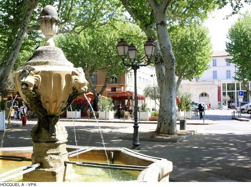 Carpentras, town in Vaucluse & capital of the tuffle in South of France