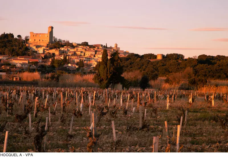 Châteauneuf du Pape, un des vins les plus prestigieux.