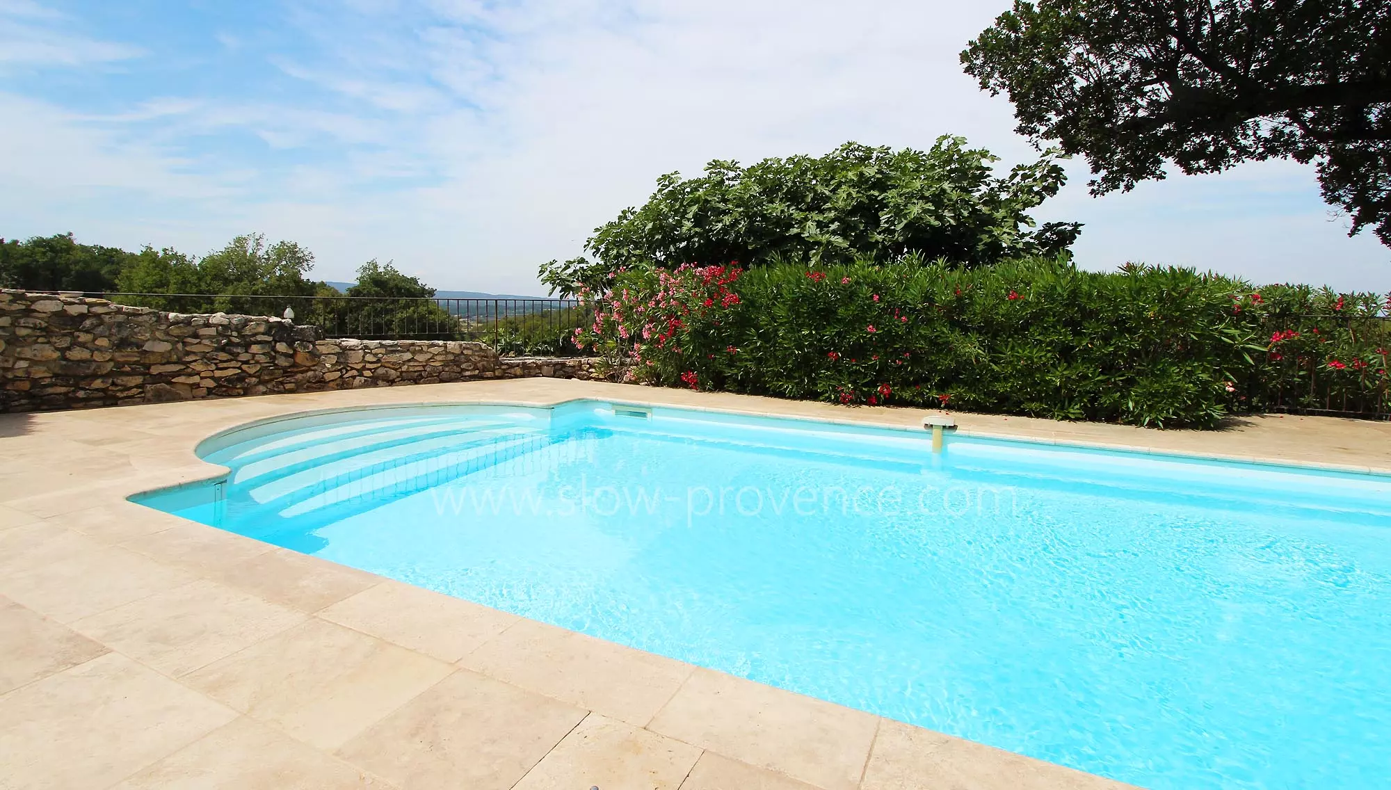 Private swimming pool with vineyard view