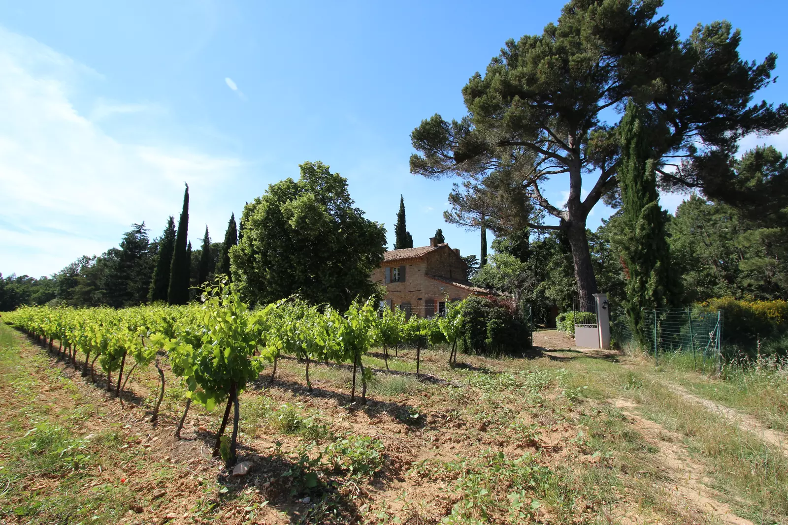 Mas de Charlotte, an authentic stonehouse surrounded by vineyards just at the outskirts of Bedoin, Mont Ventoux