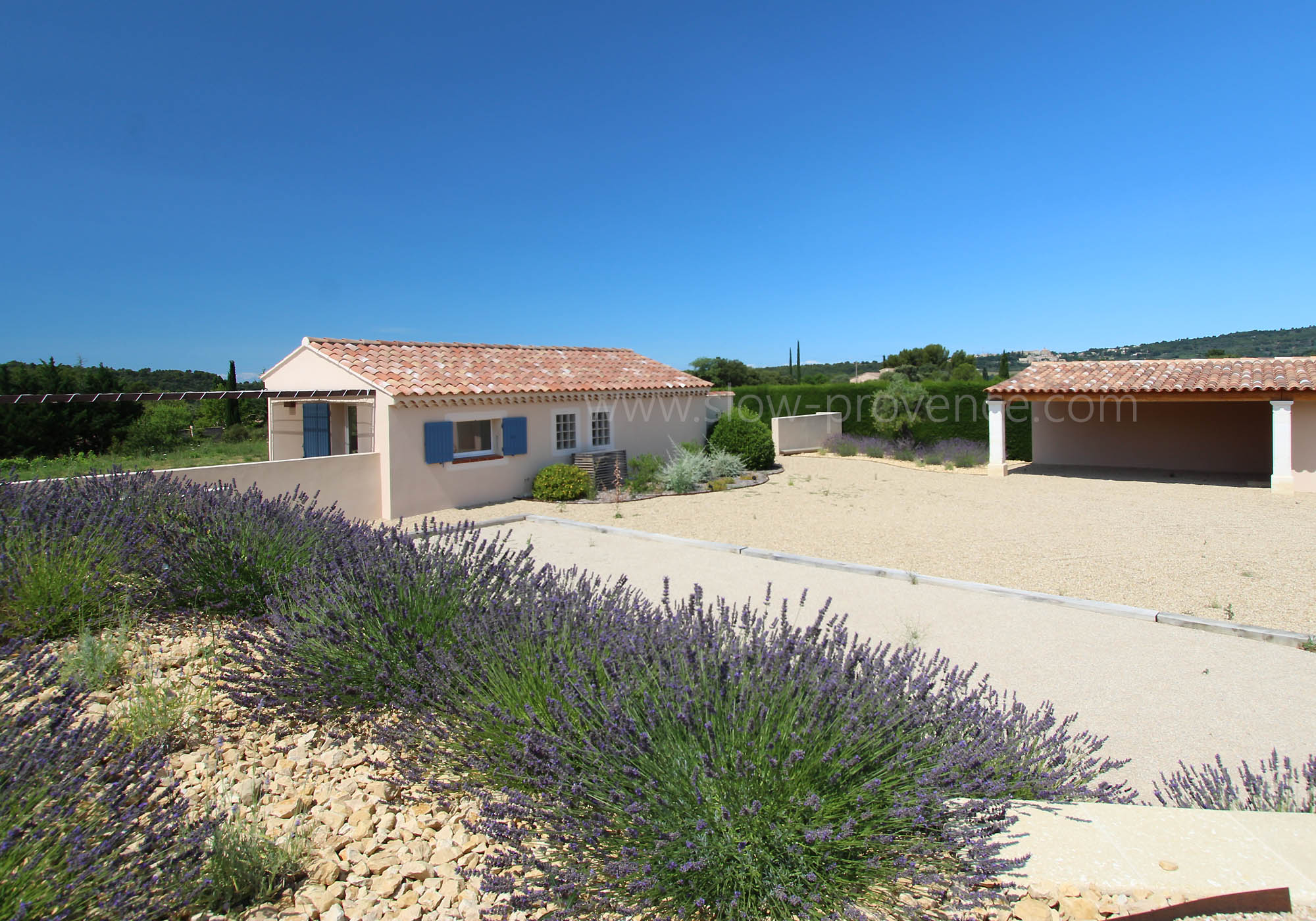 Lavender and petanque