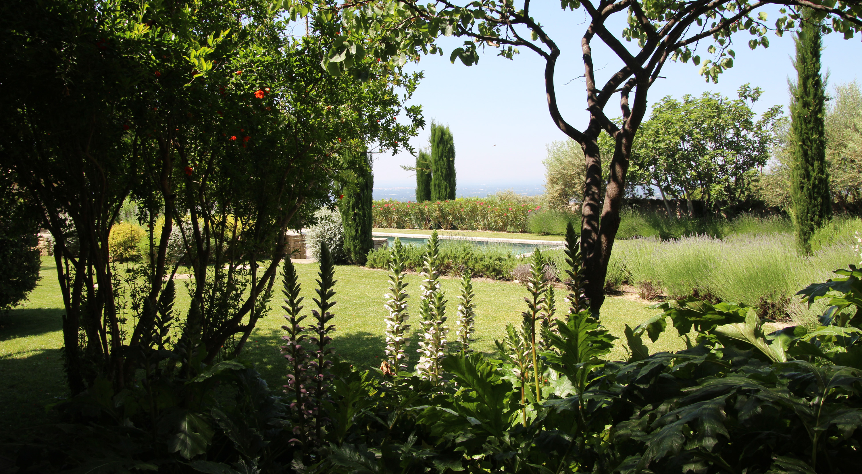 Vue sur le jardin et la pisicne de la terrasse