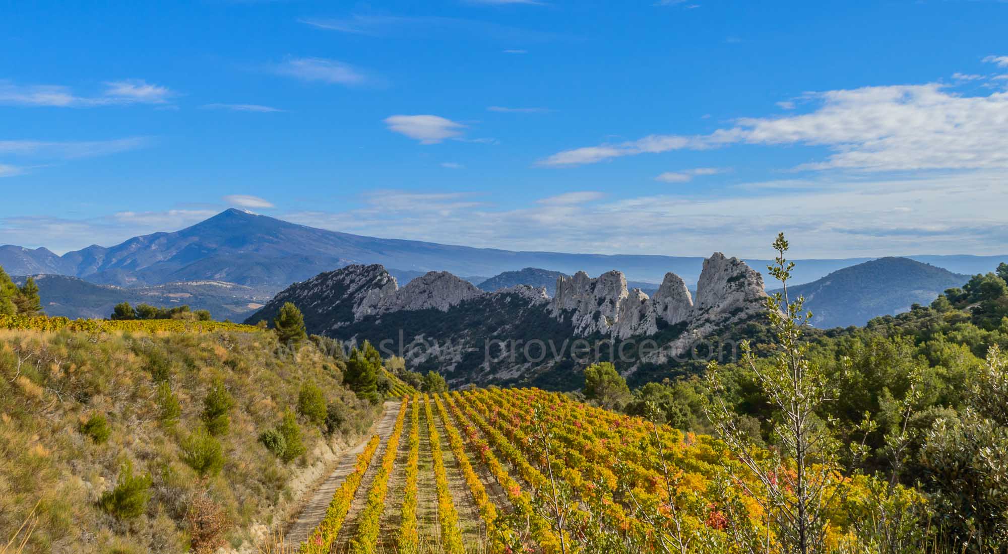Dentelles de Montmirail & Mont Ventoux
