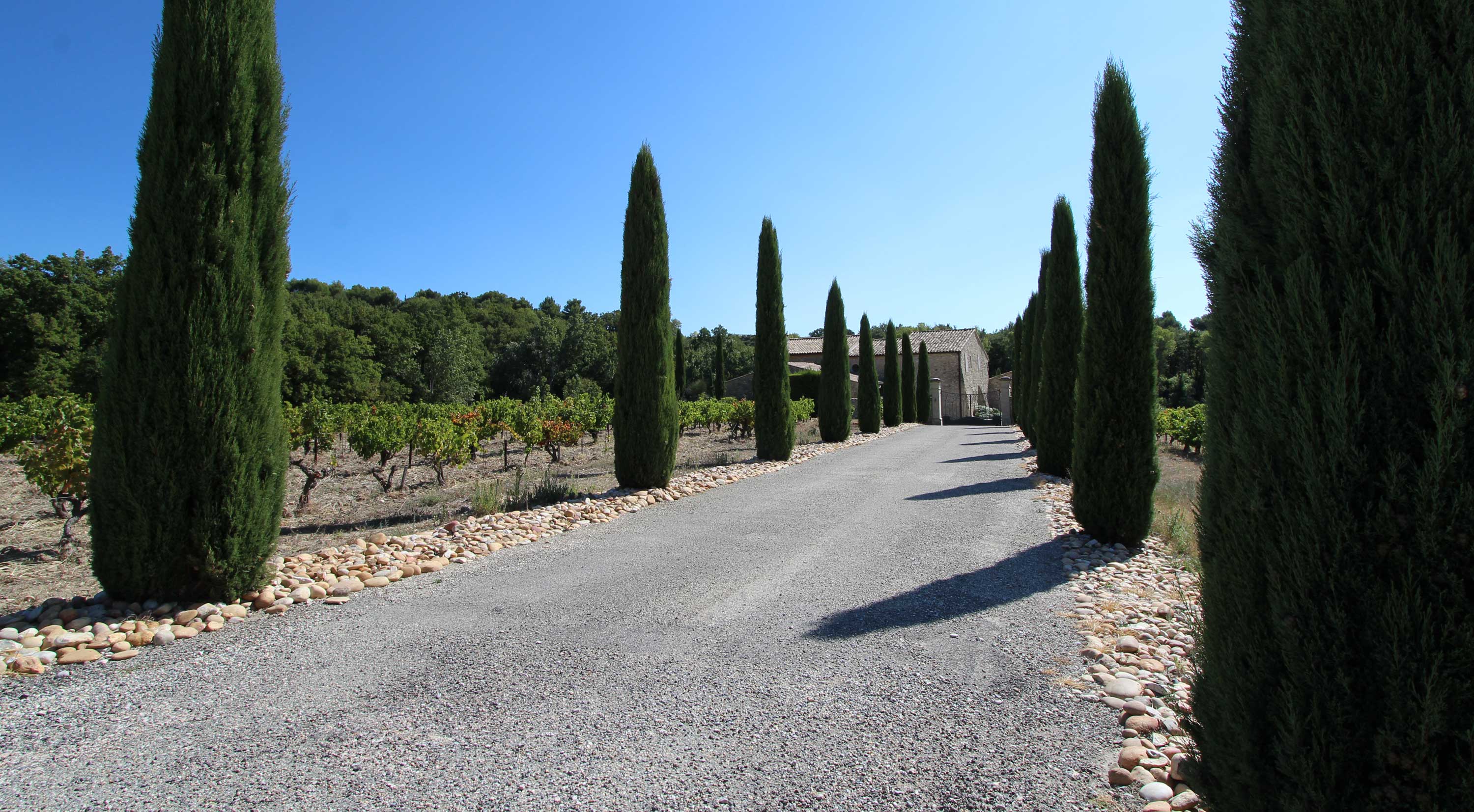 Welcome to Provence!