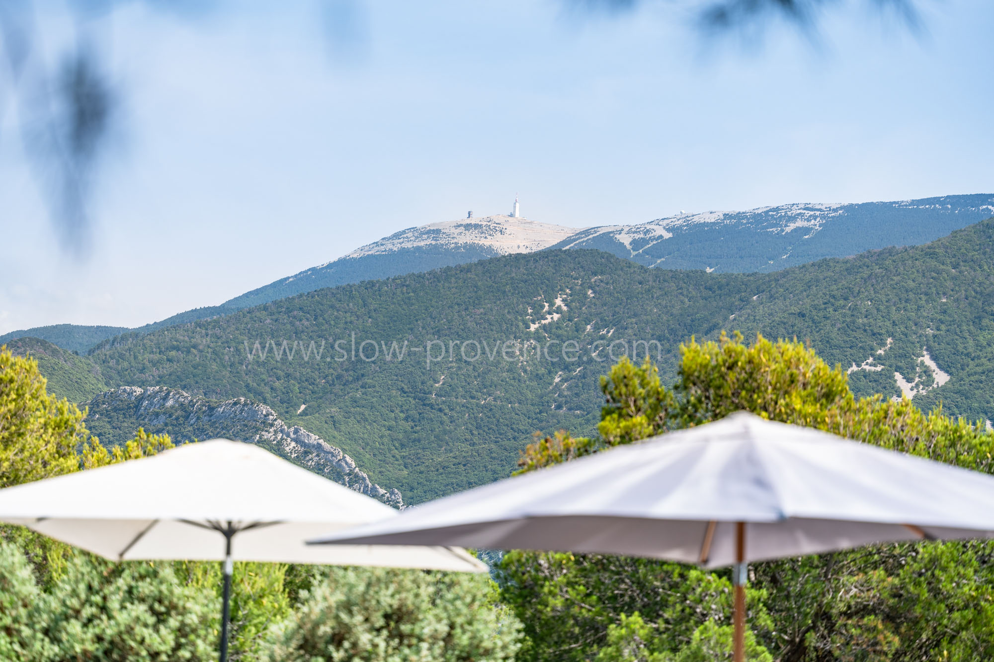Le Mont Ventoux en toile de fond