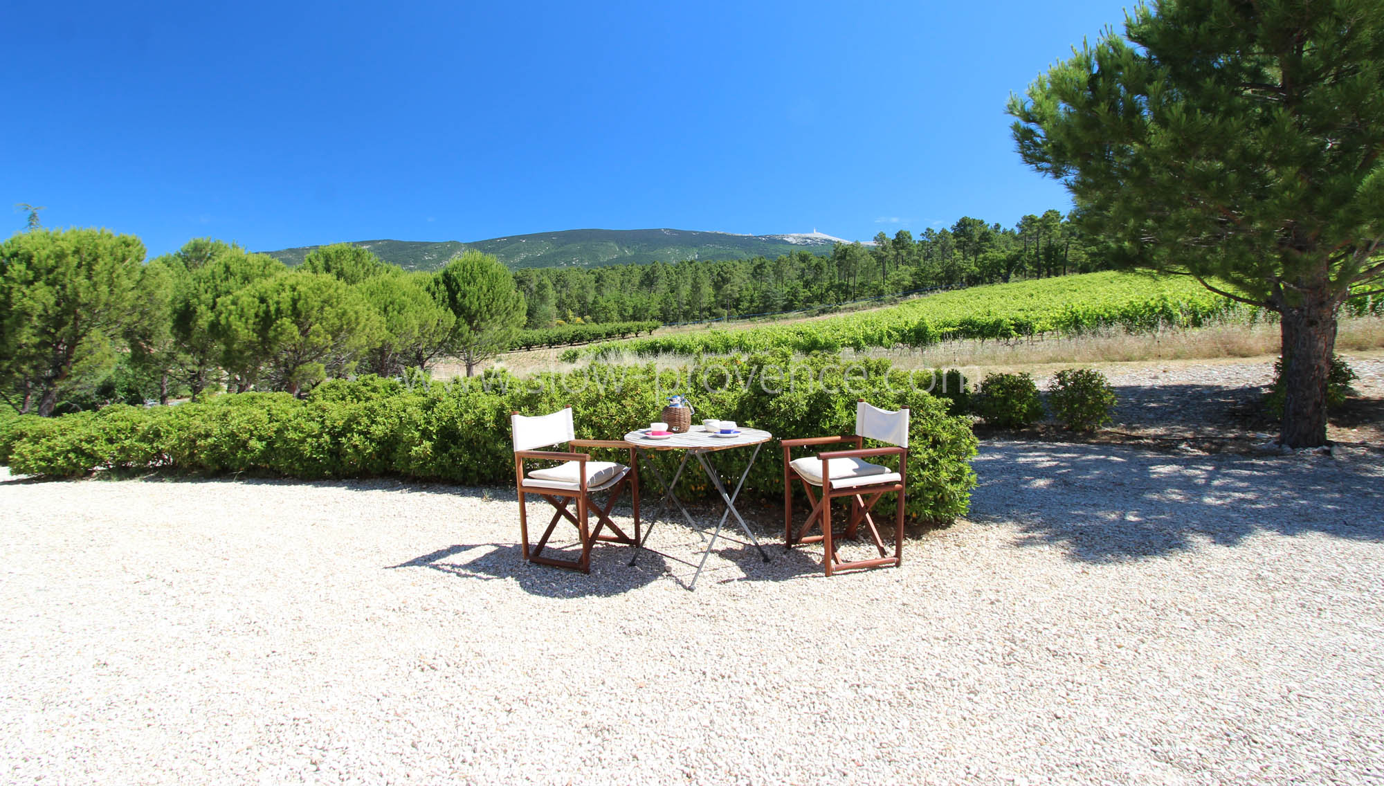 Vue sur le Mont-Ventoux