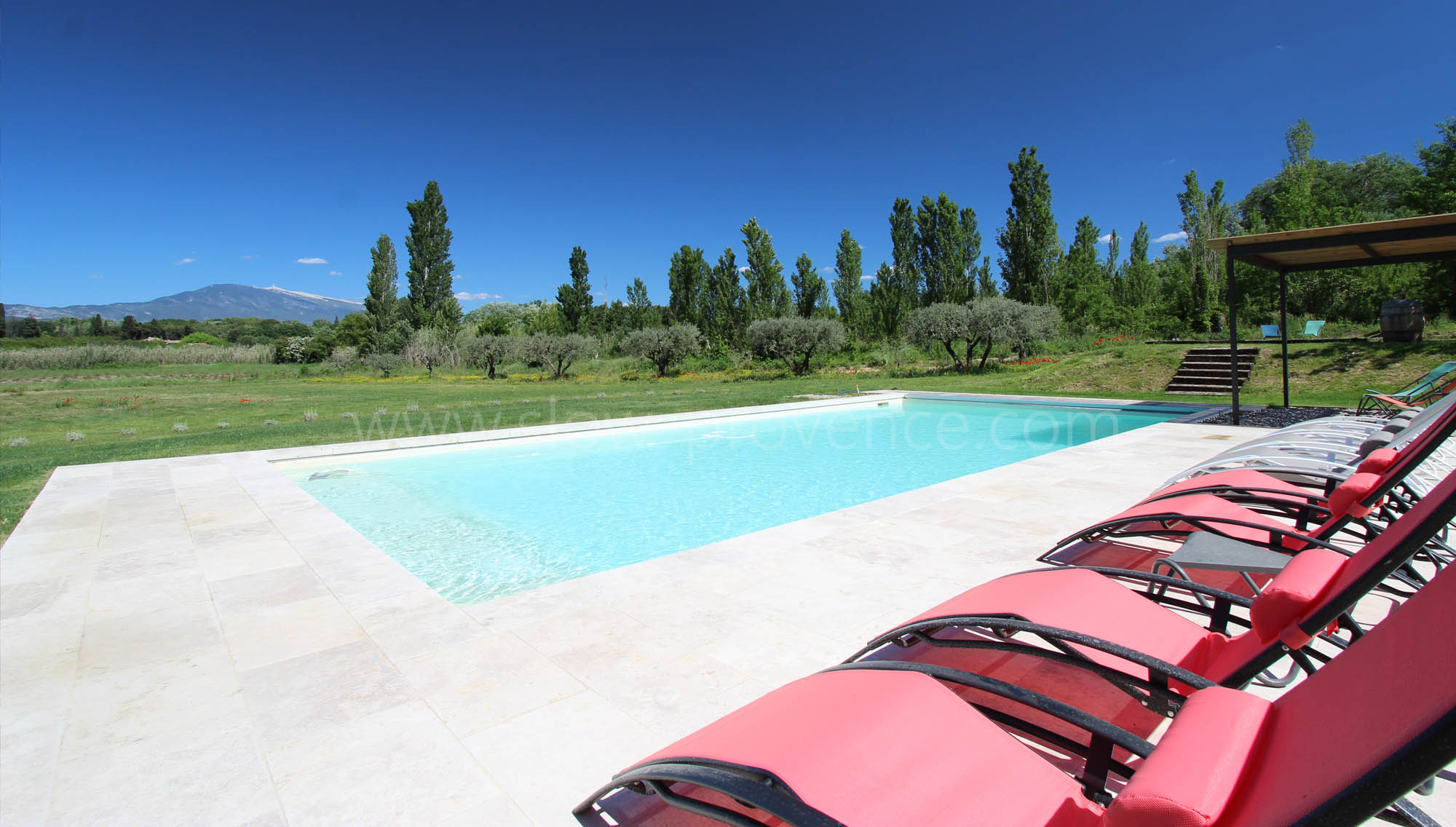 Piscine chauffée 12X6m avec vue Ventoux