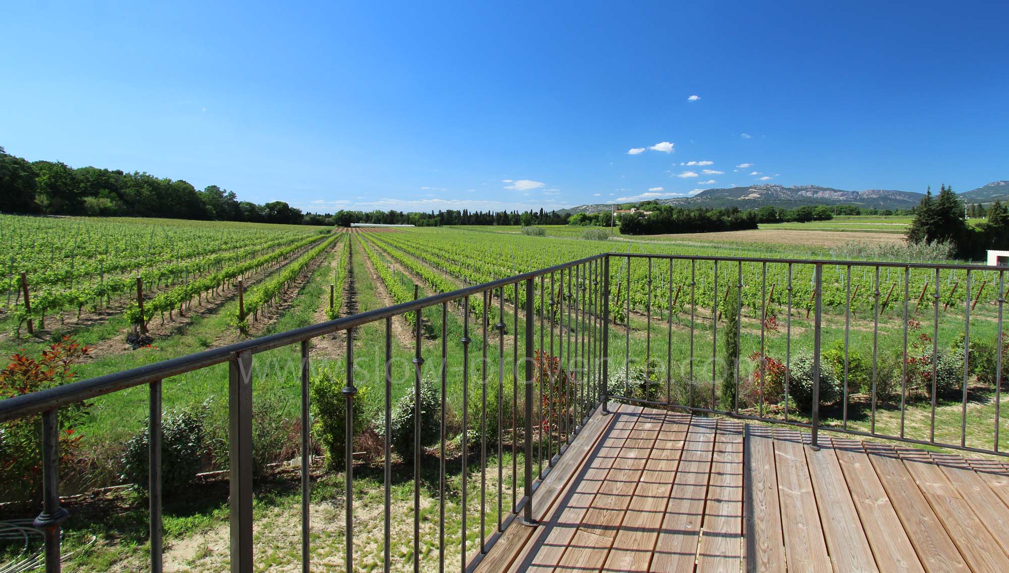 Terrasse privative de la Chambre 5