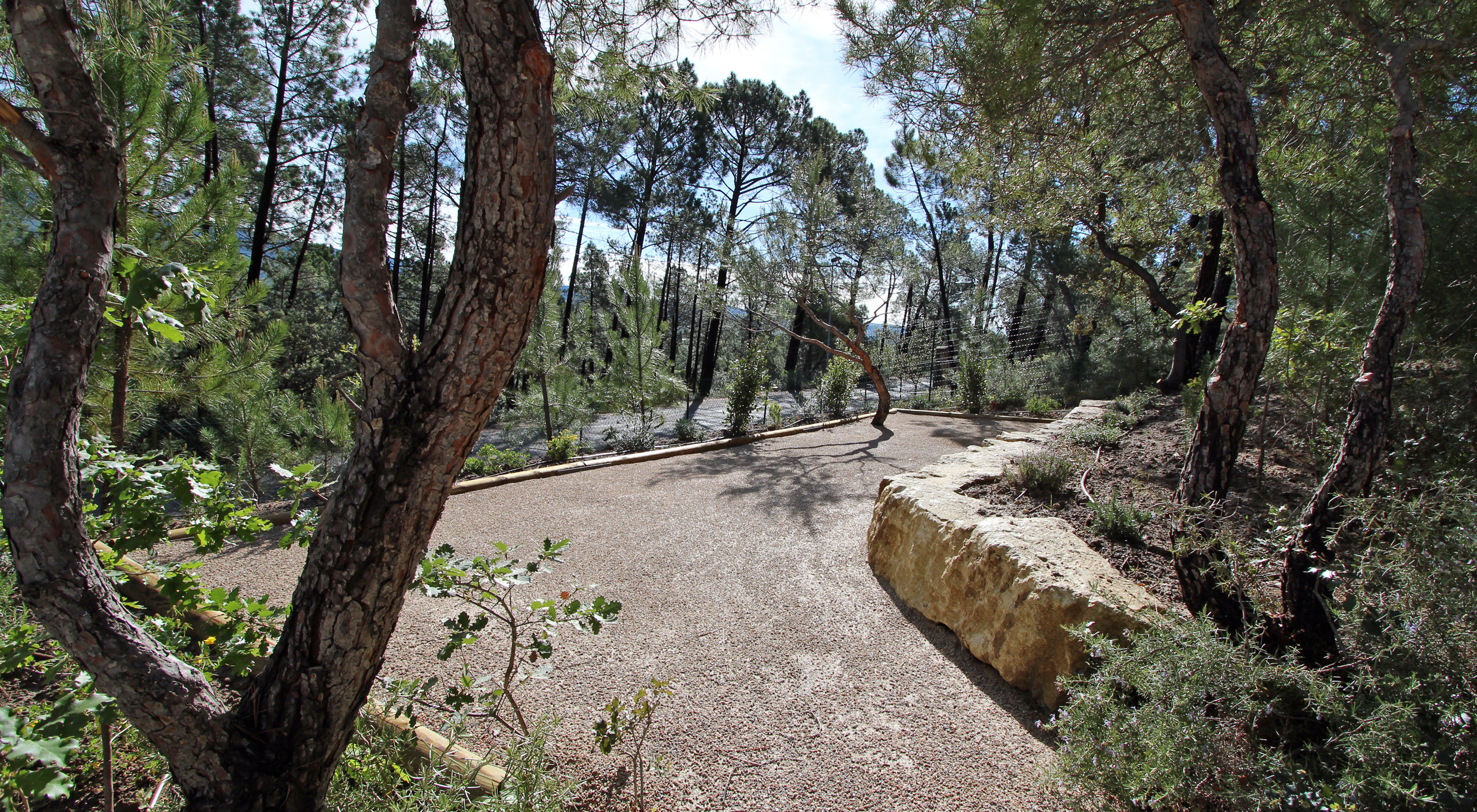 Terrain de pétanque