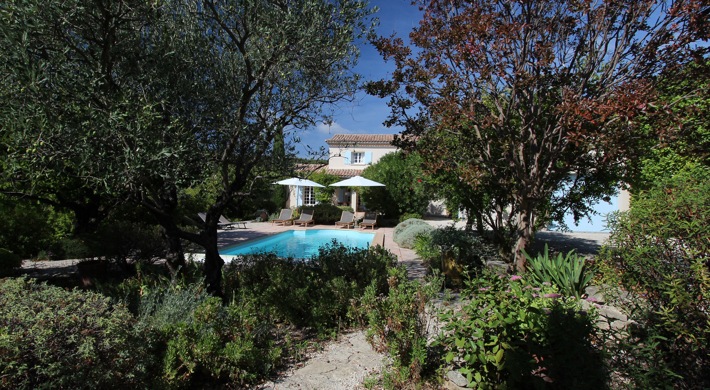 Un grand jardin avec des arbres fruitiers