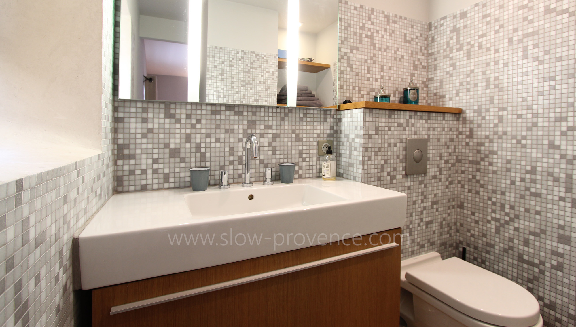 Salle de douche privative 2