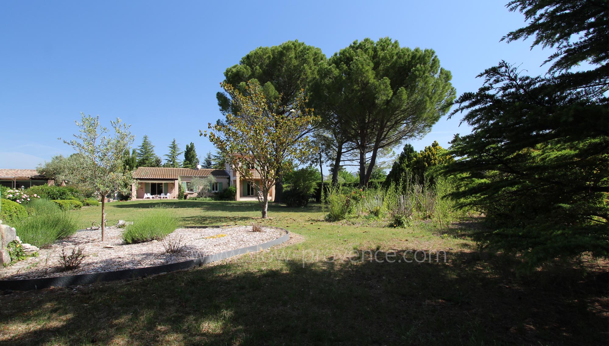 Large garden with trees