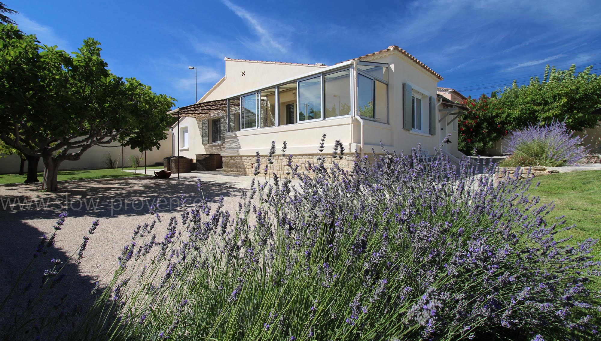 Pétanque et lavande
