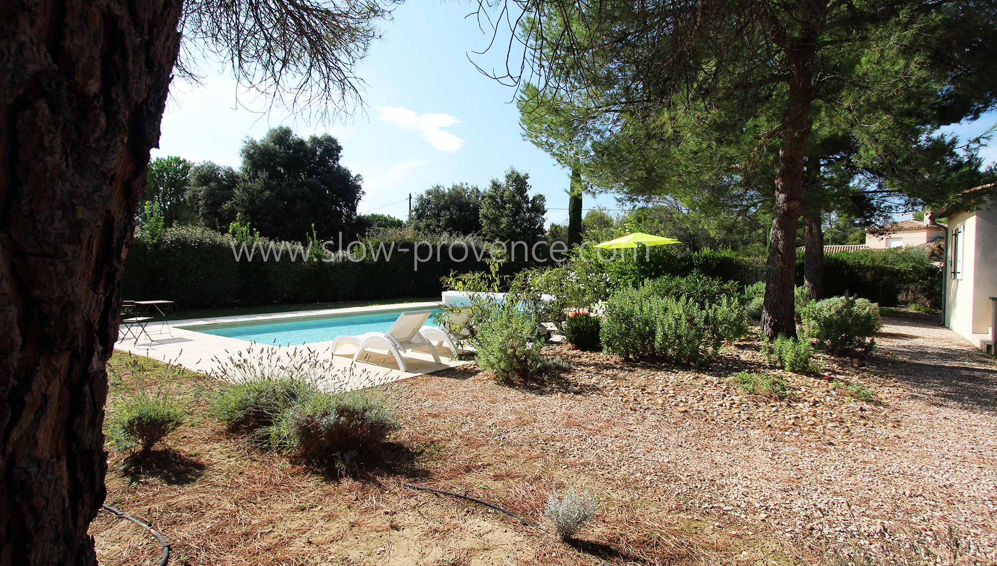 Jardin autour de la piscine