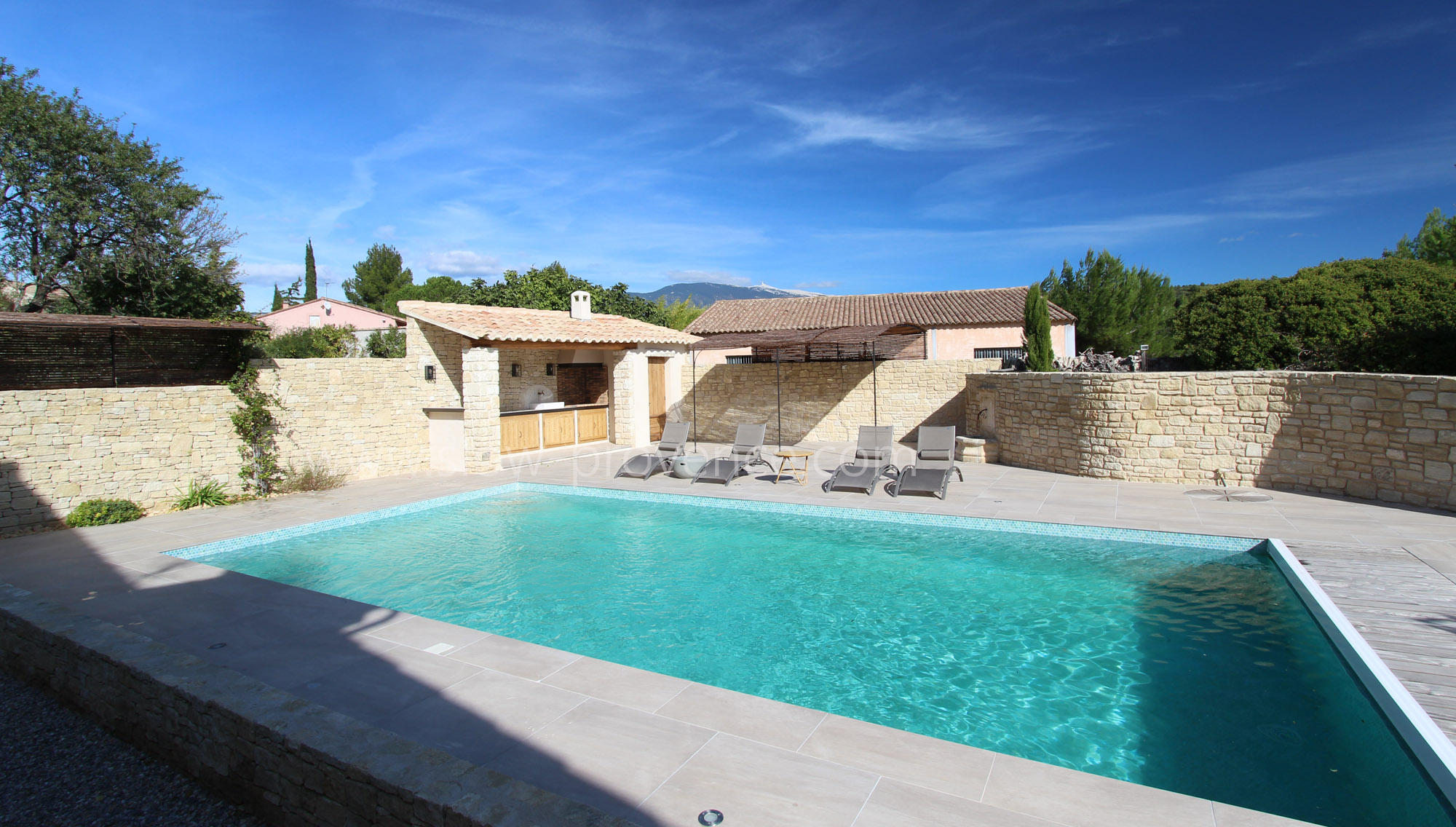 Nice swimming-pool with pool-house