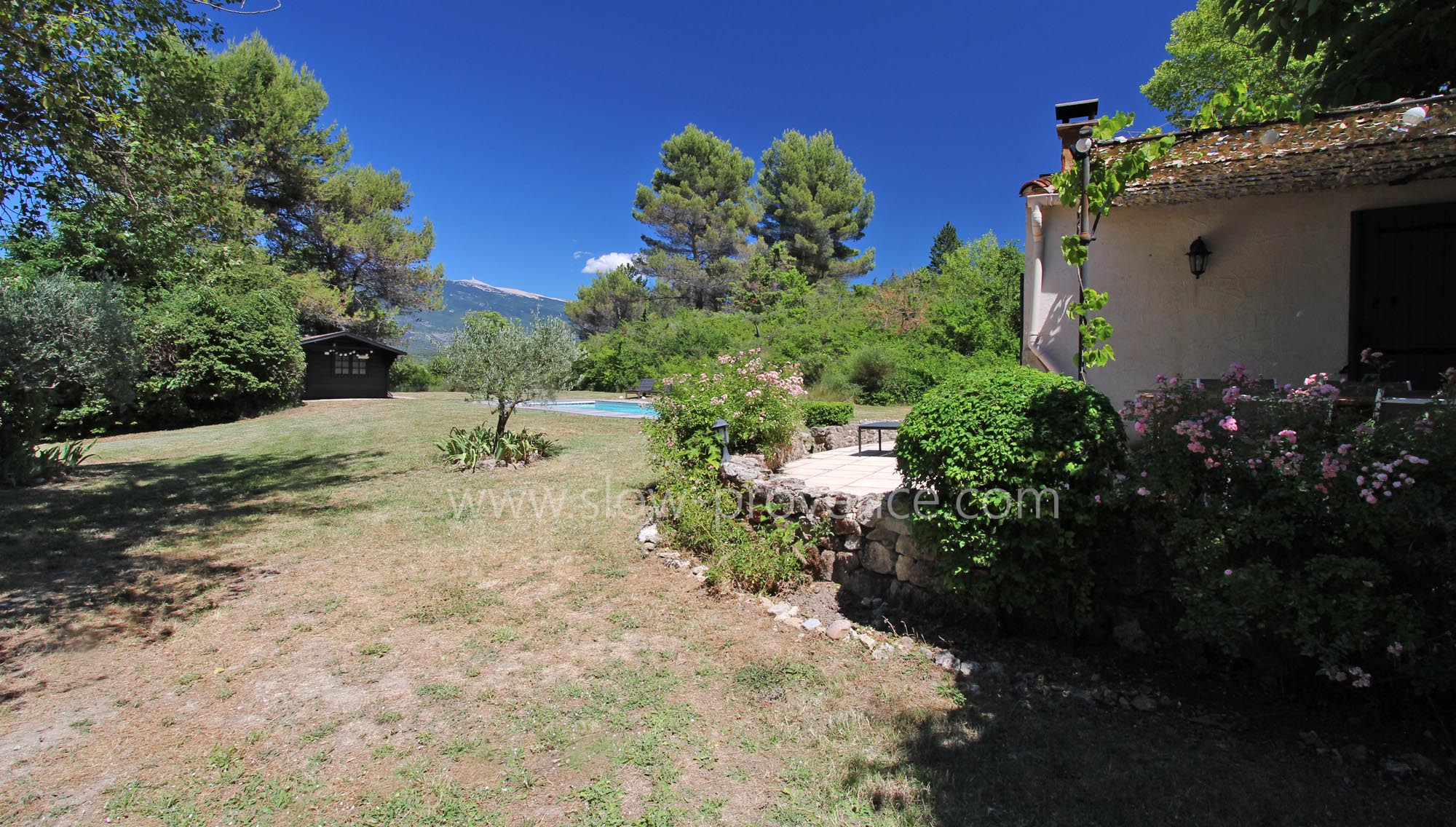 Large garden