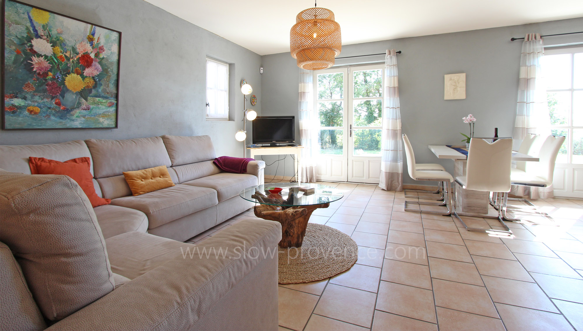 Salon avec TV
