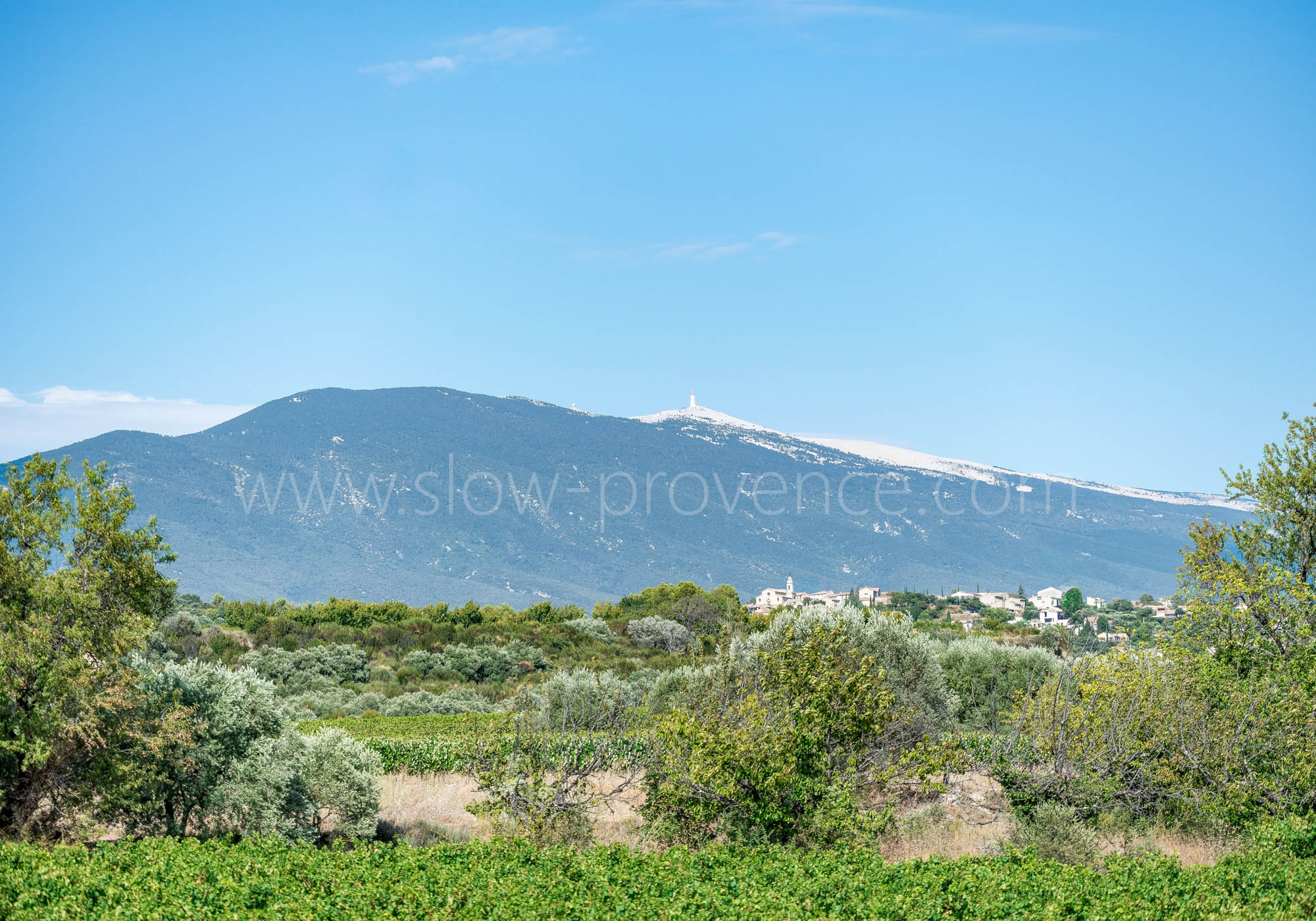 Vue sur le Mont Ventoux et Crillon-le-Brave depuis le jardin