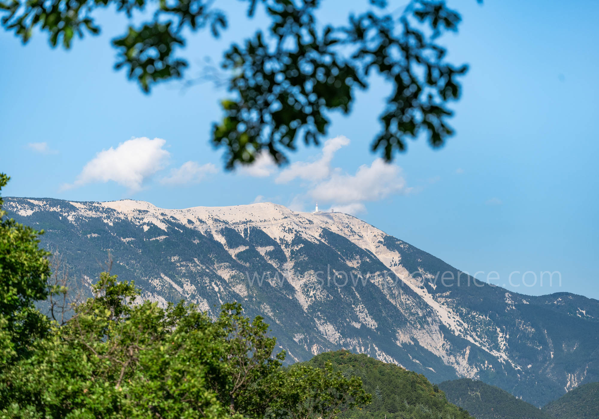 Vue du Mt Ventoux depuis la piscine