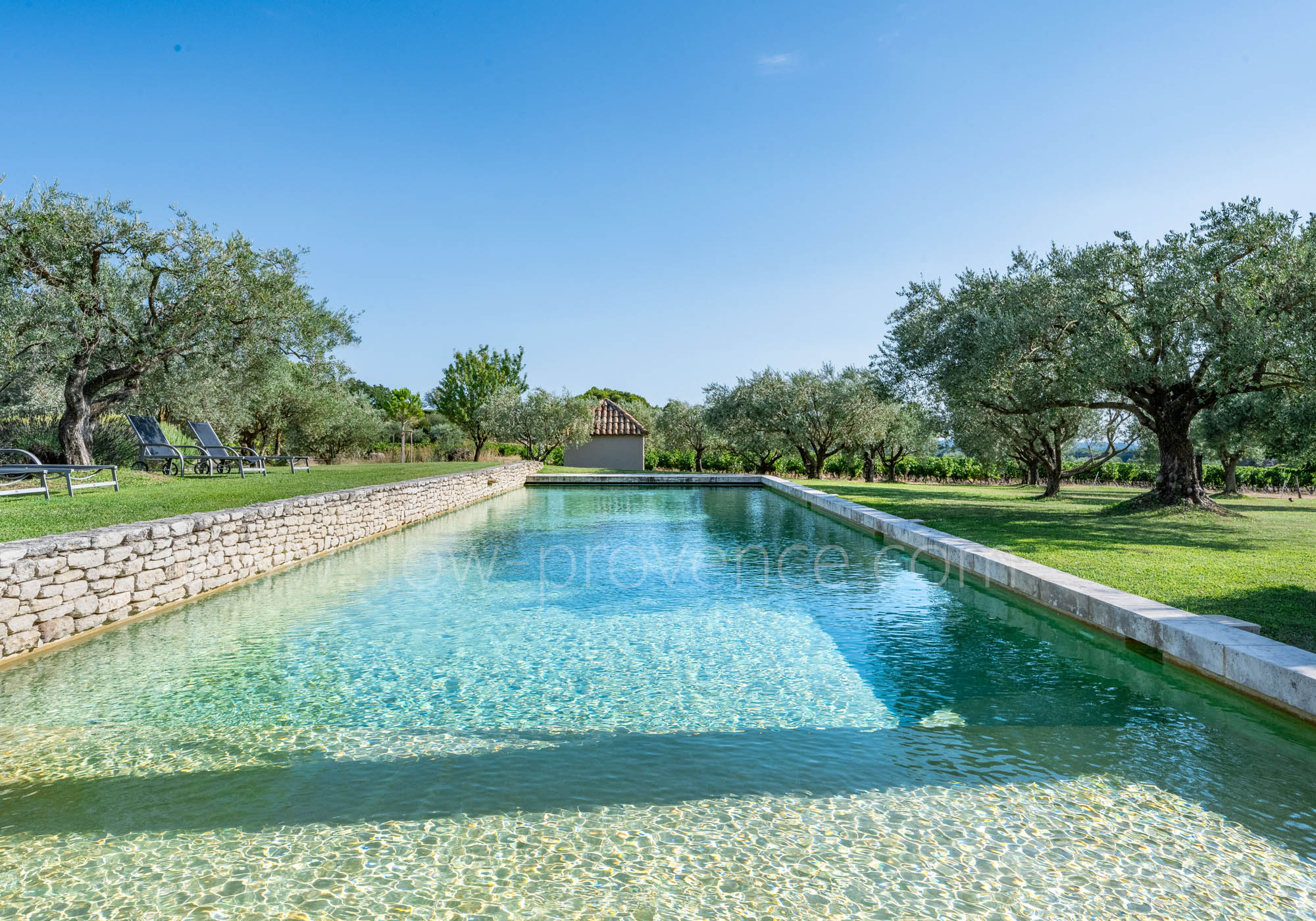 Piscine exceptionnelle