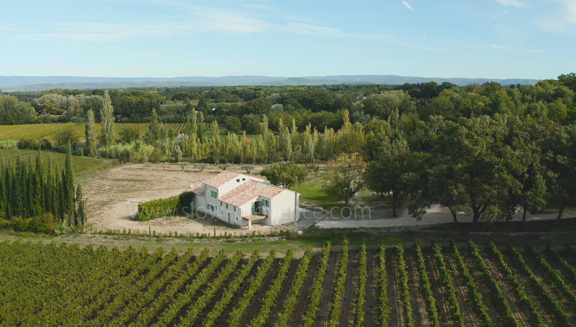 Un cadre exceptionnel au milieu des vignes