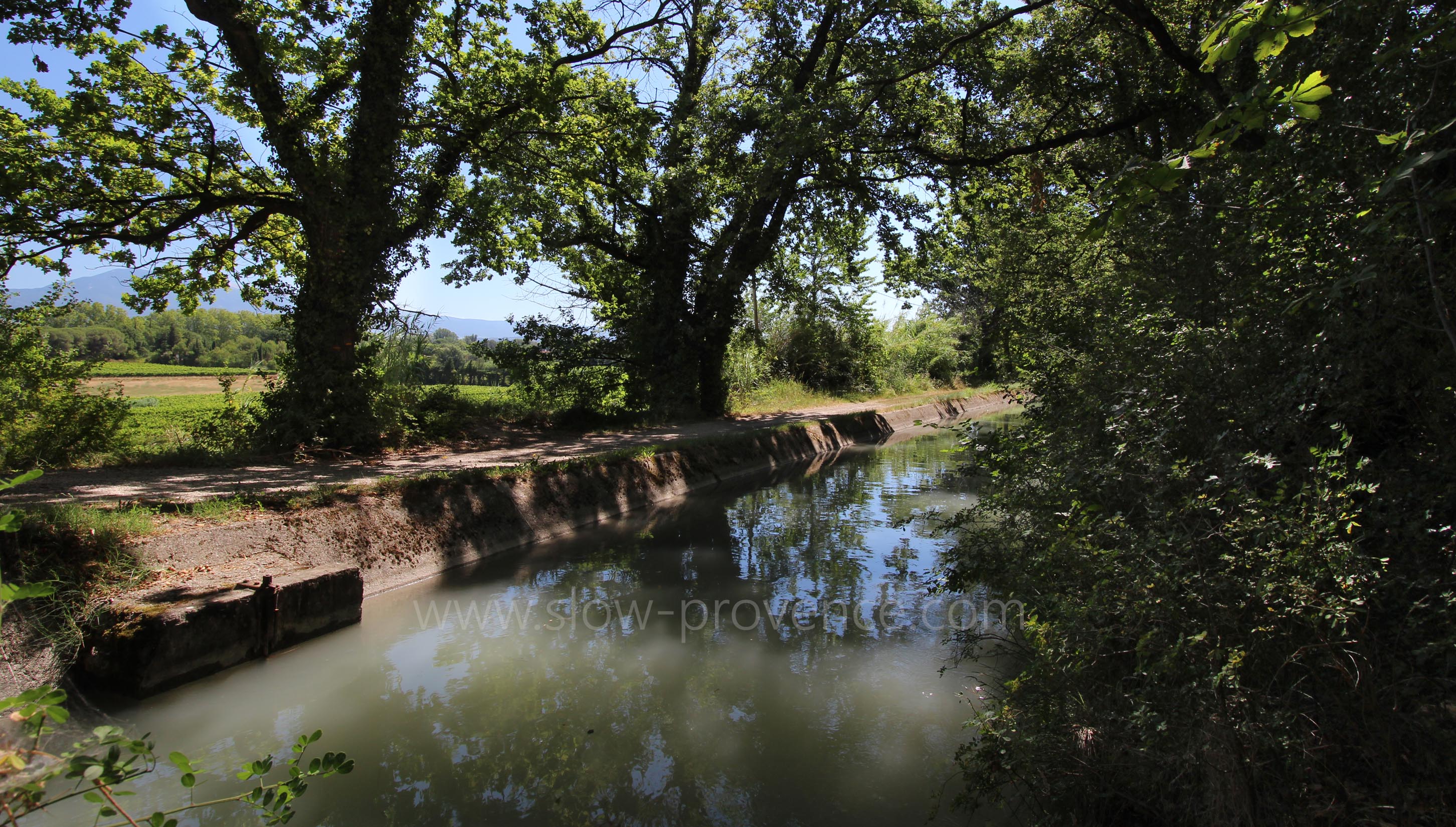 Promenade le long du canal à 50m du mas