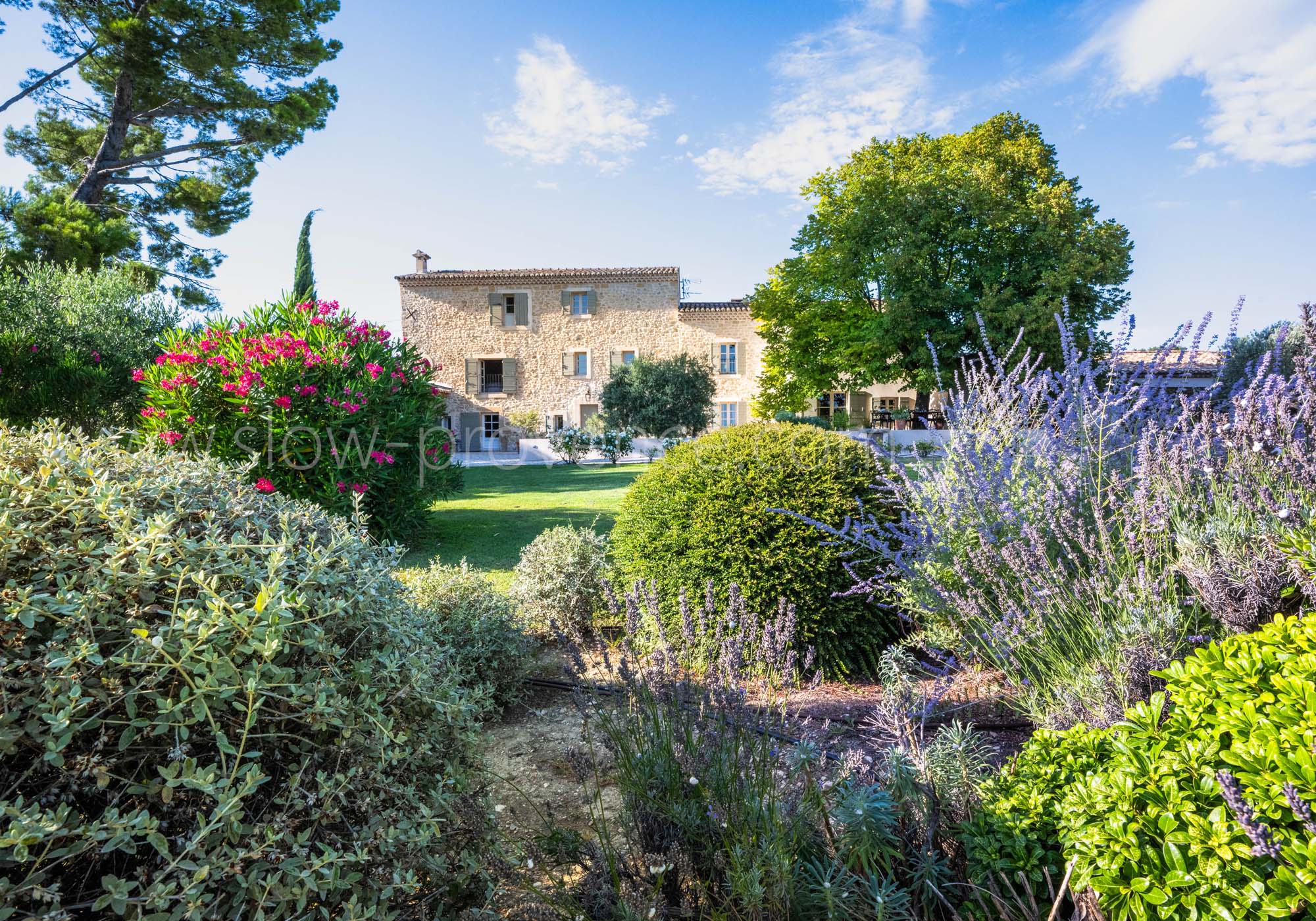 Jardin paysagé soigné et fleuri