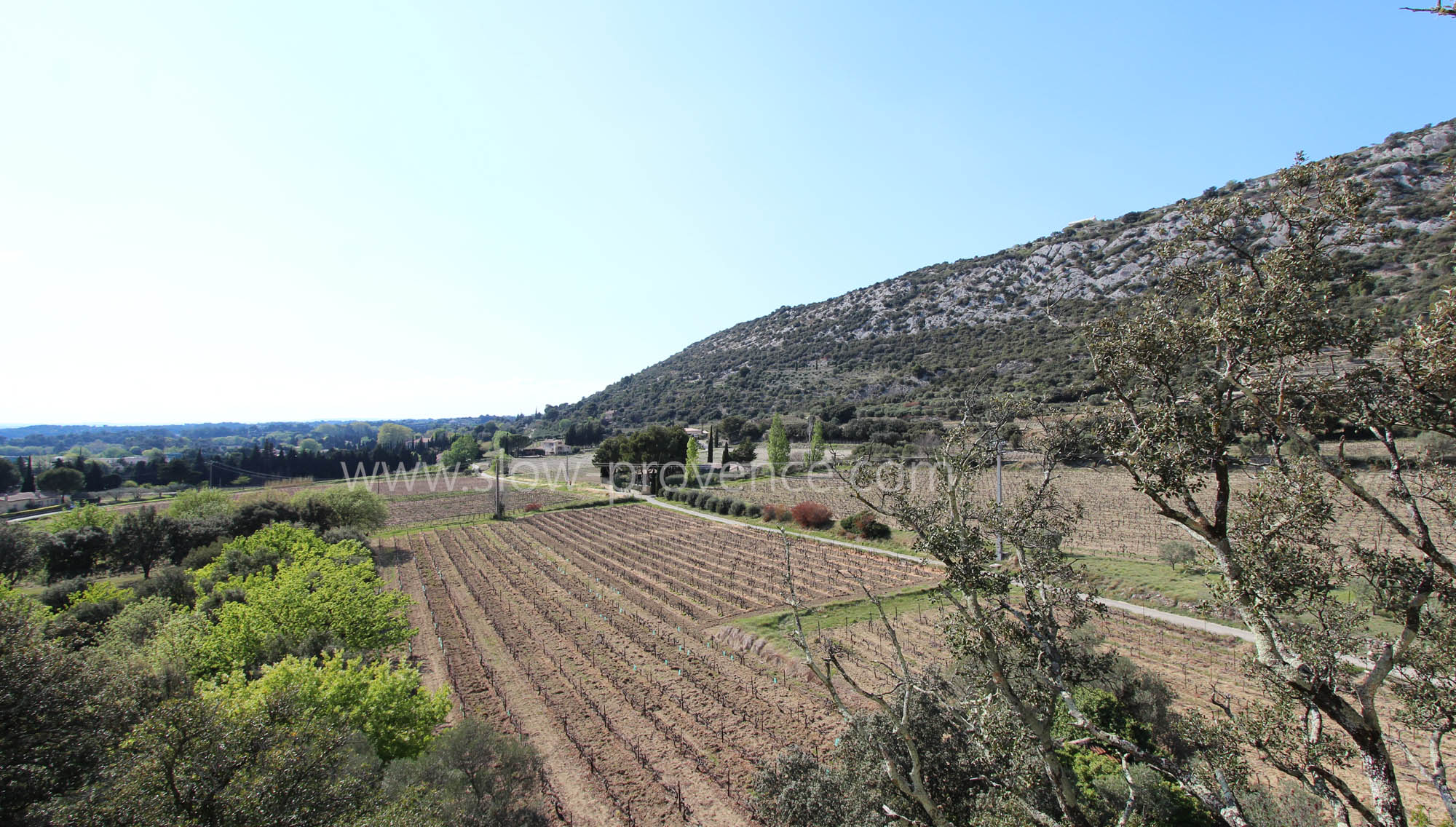 View on Notre Dame d'Aubune