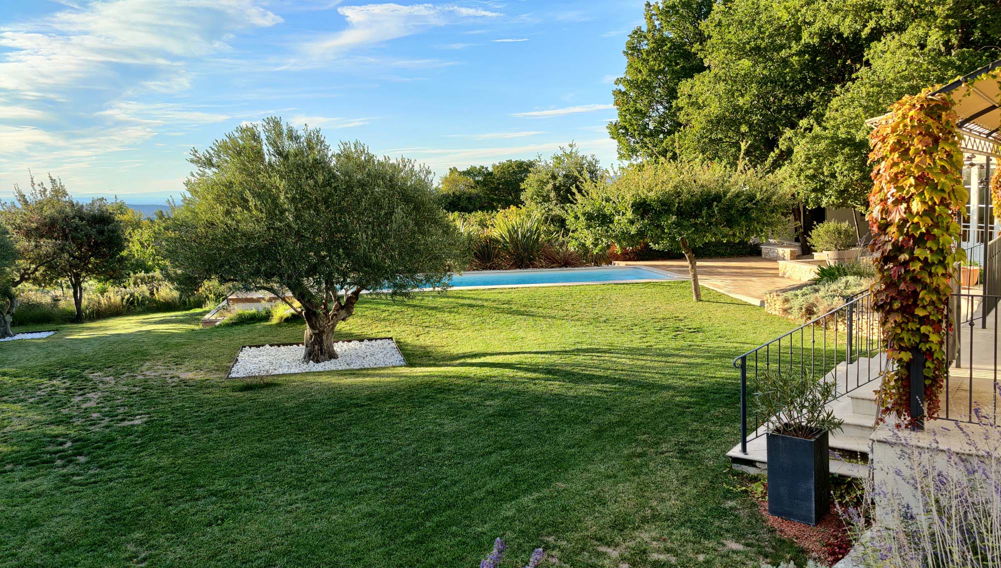 View from the terrace