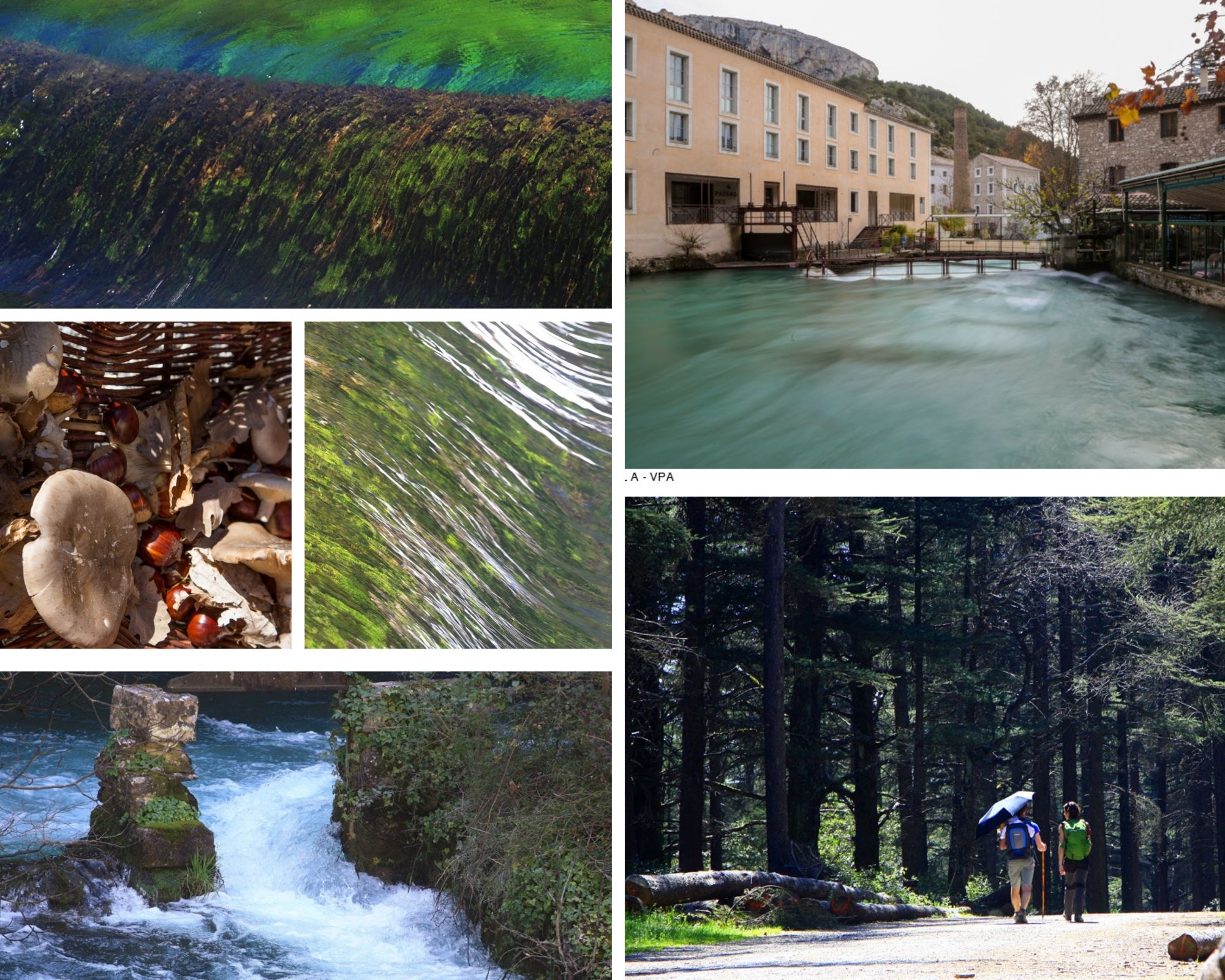 Idée de promenade à faire après la pluie en Provence