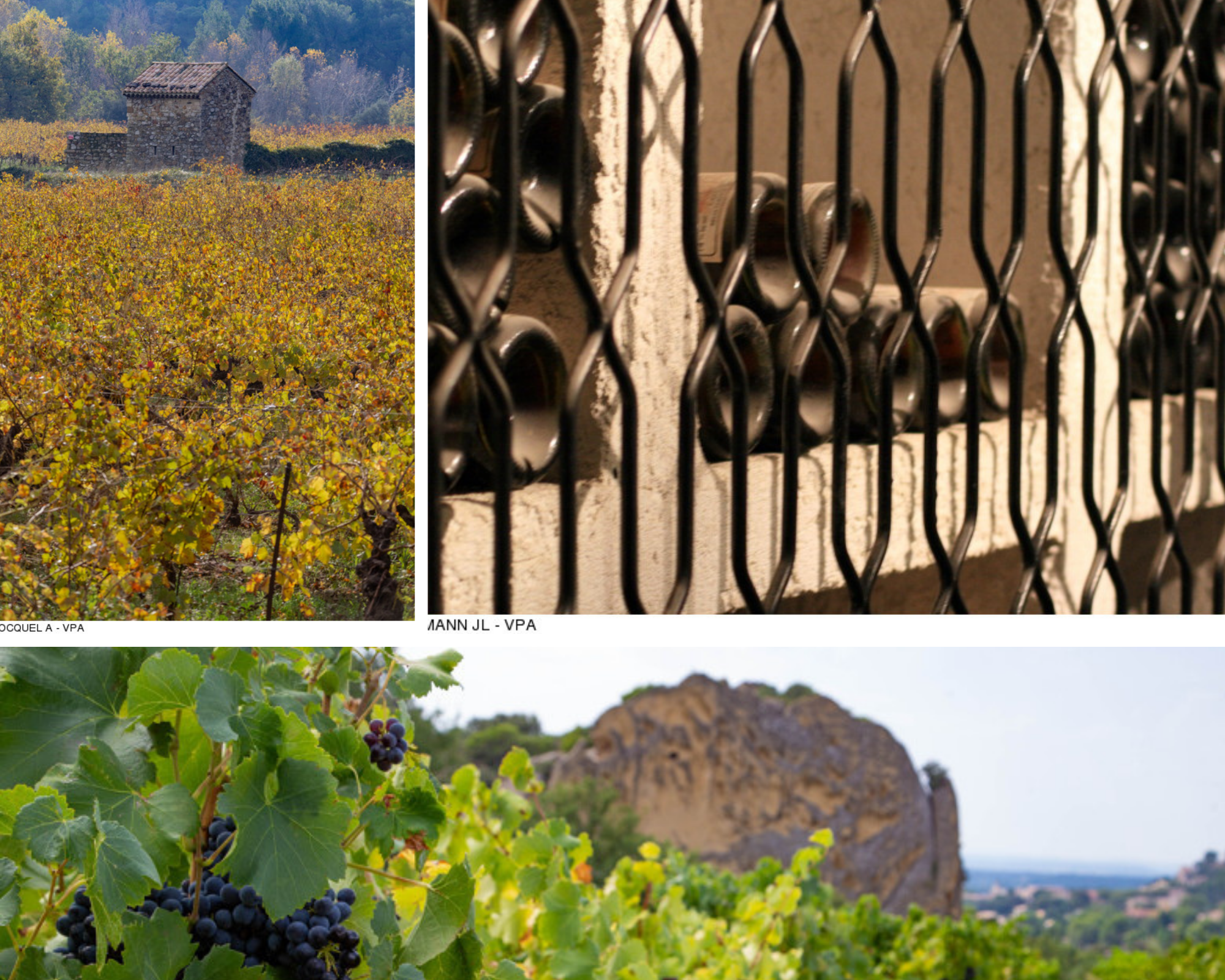 Cave à vin du vignoble du mont ventoux