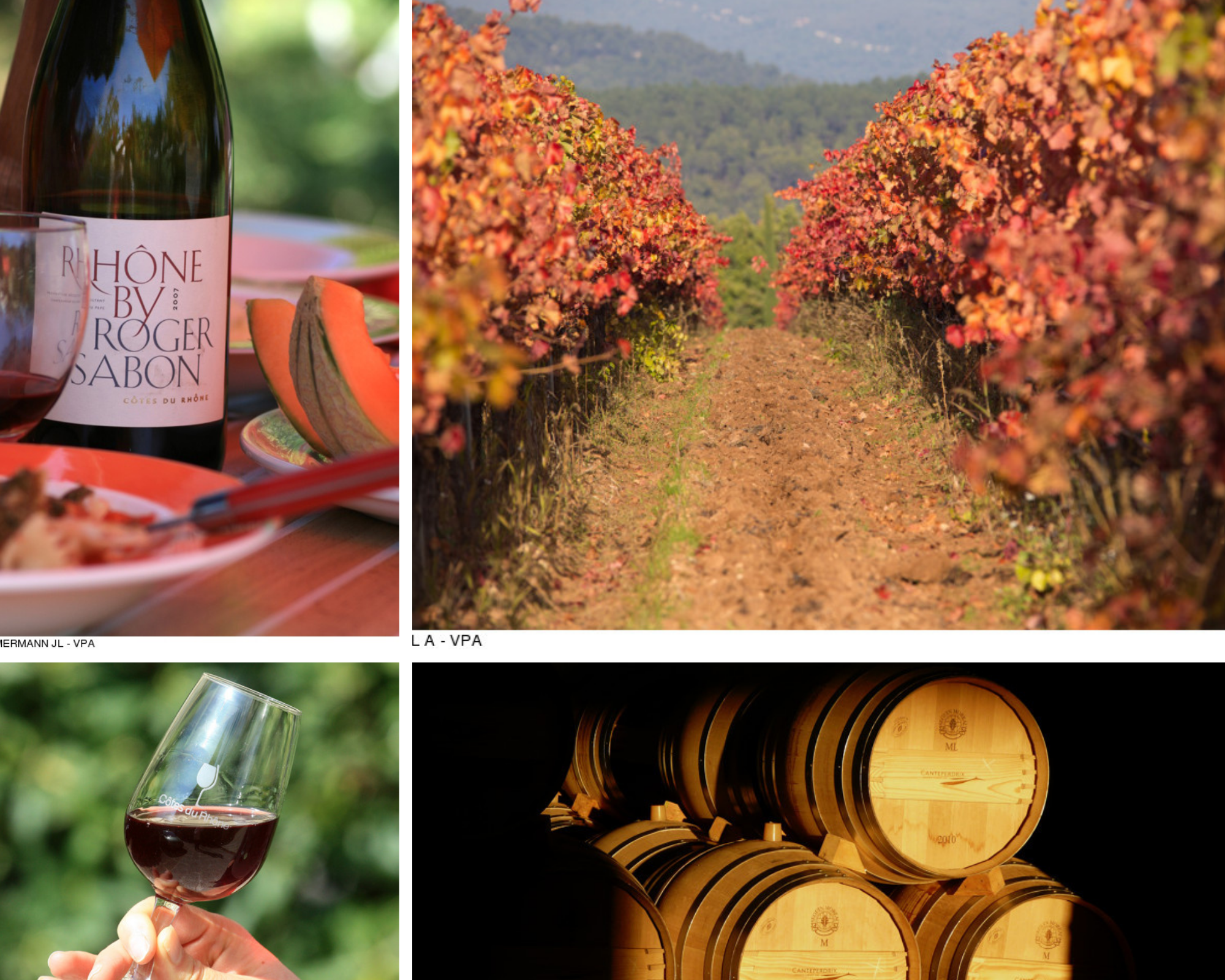 barrils of wine in a cellar and vineyard in provence