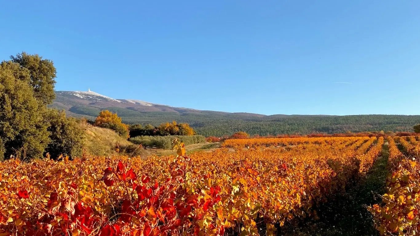 L’automne en Provence : une autre façon de vivre le Ventoux