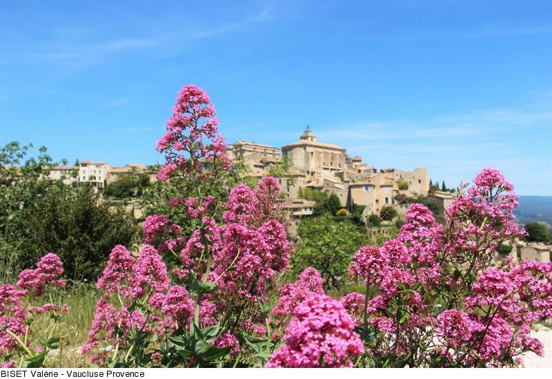 The “perched” villages of Provence