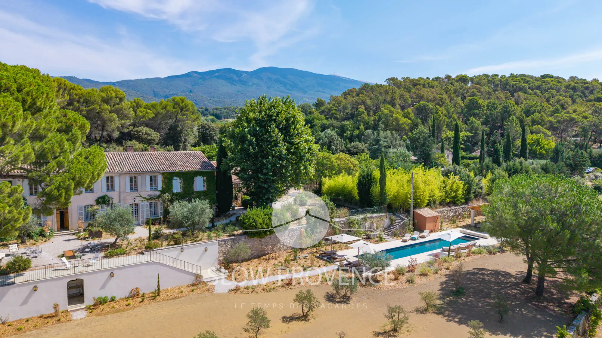 Au milieu des vignes et le Mont Ventoux en toile de fond