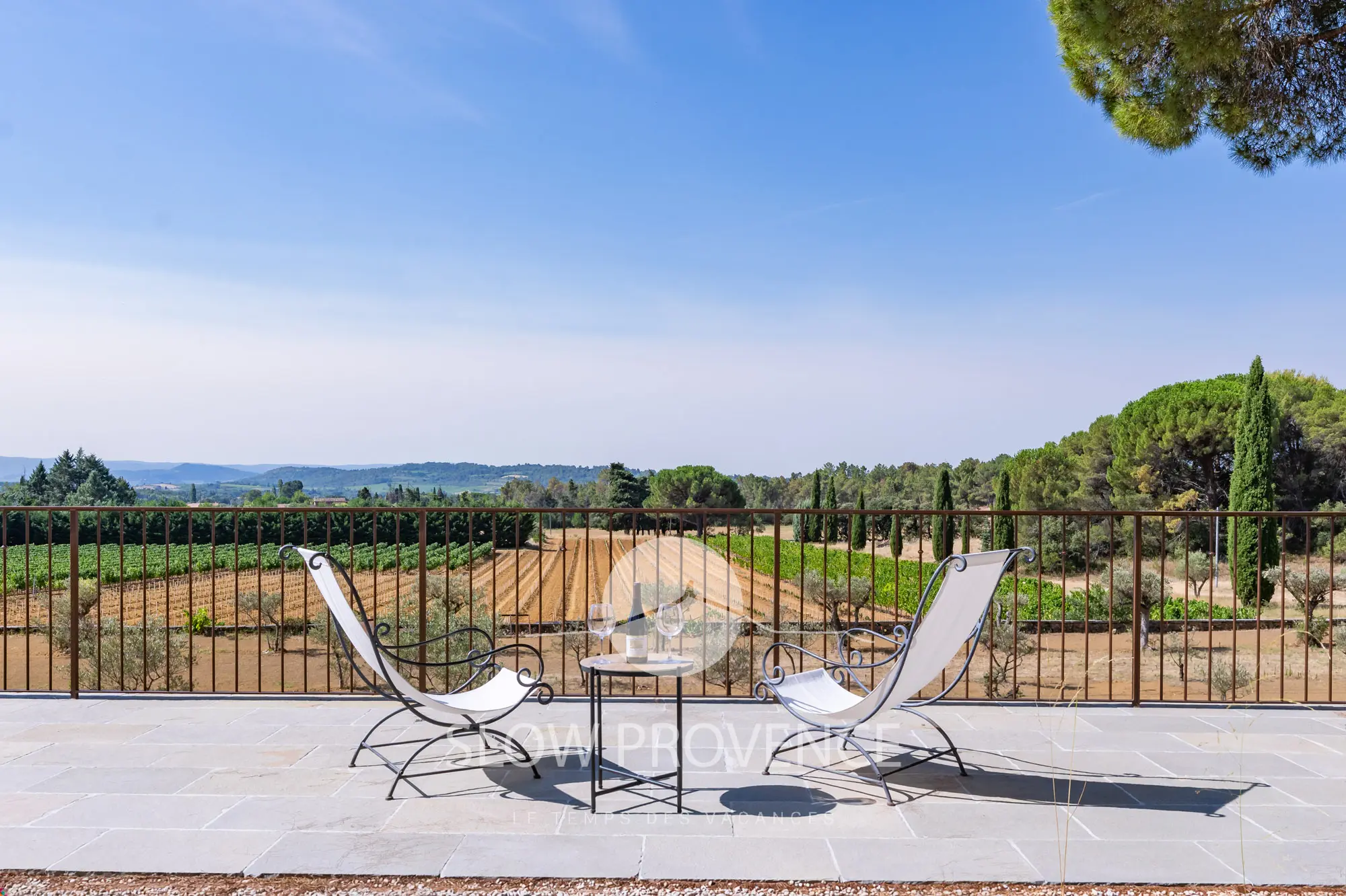 Domaine avec vue sur les vignes