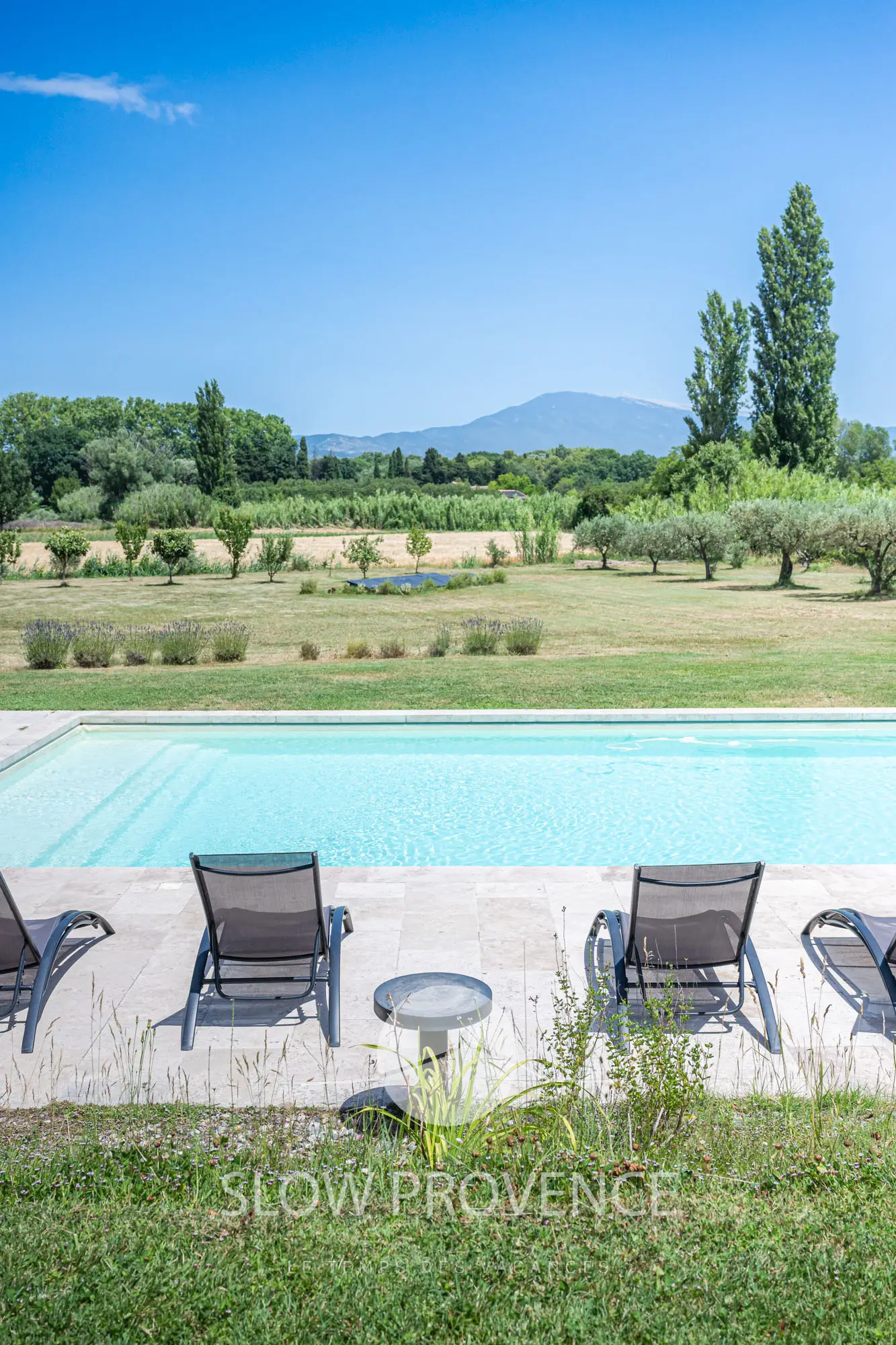 Piscine chauffée avec vue sur le Mont Ventoux