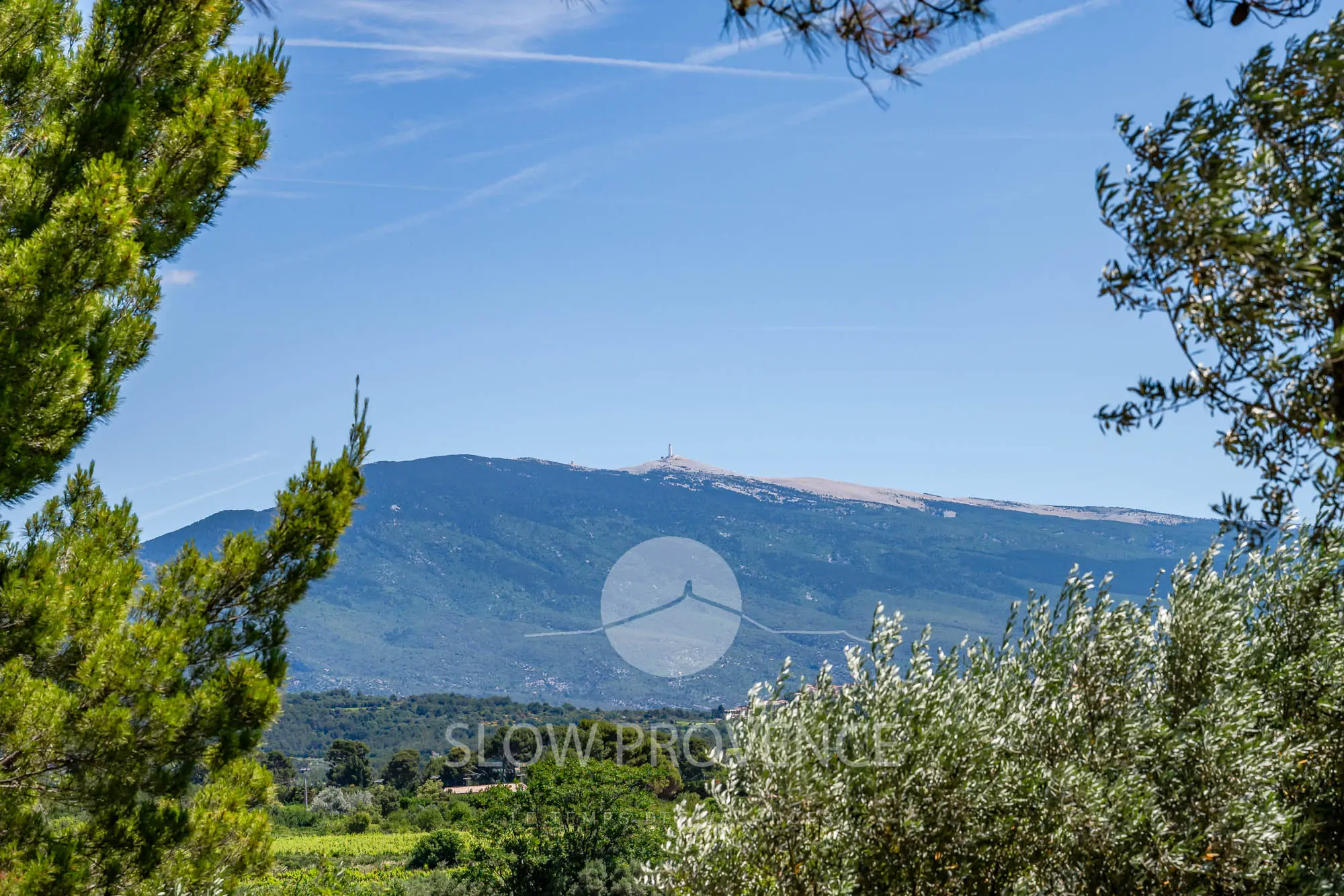 Traumhafter Blick auf den Mont Ventoux vom Pool aus