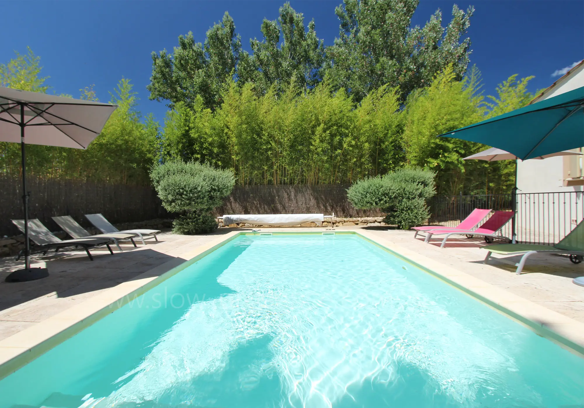 Schwimmbad umgeben von Grün