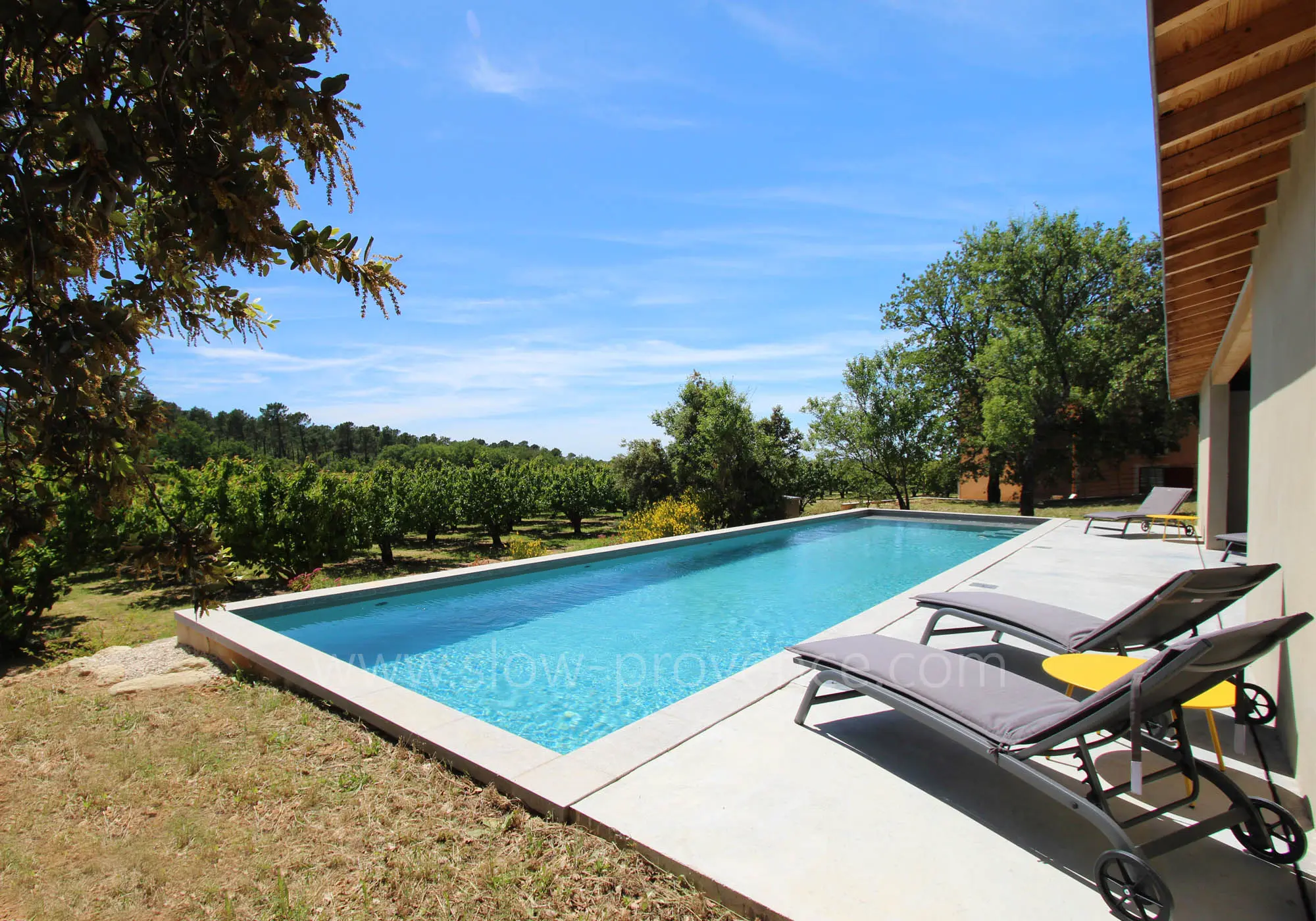 Vue sur le verger de cerisiers