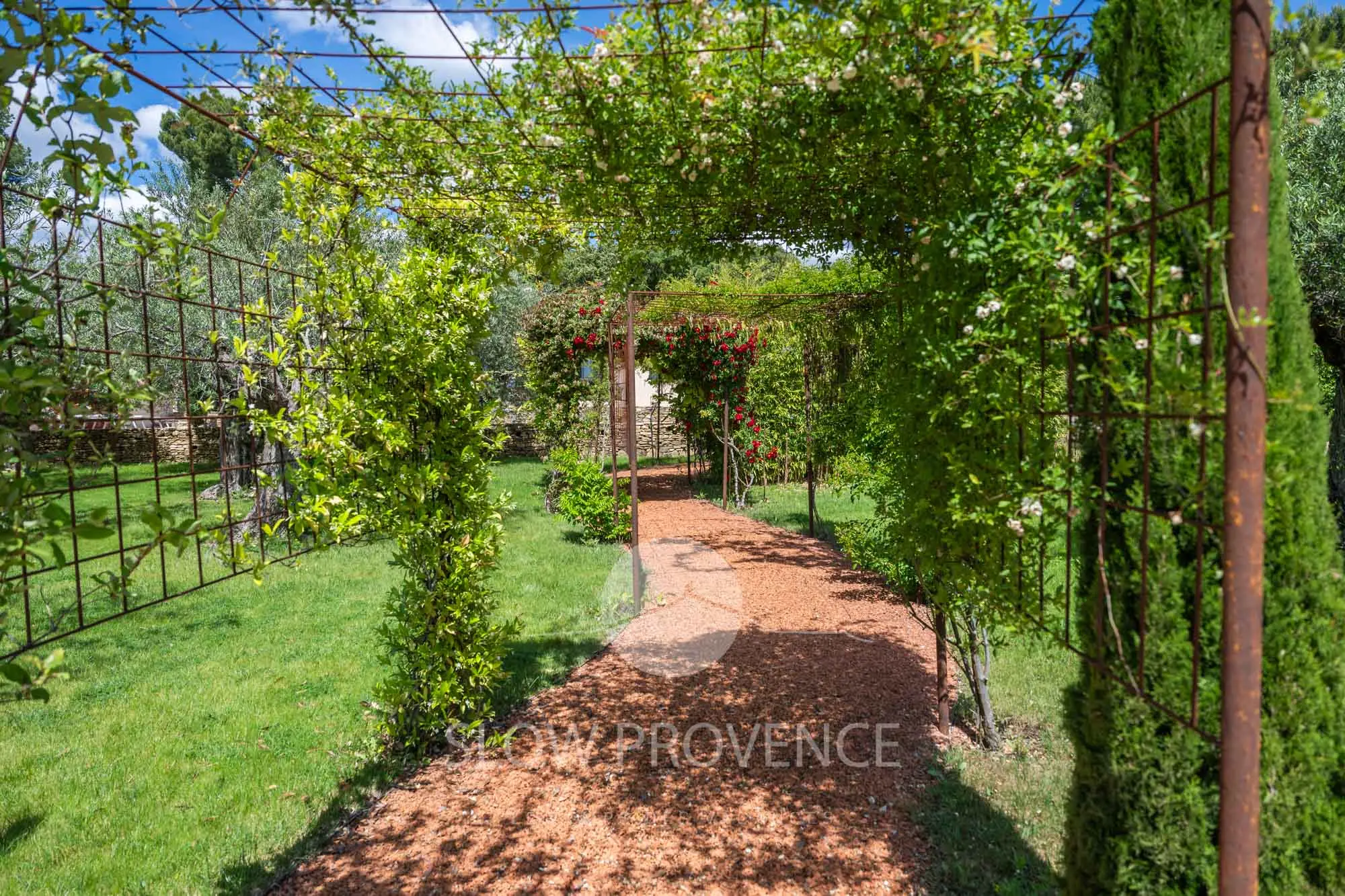 Rose arch