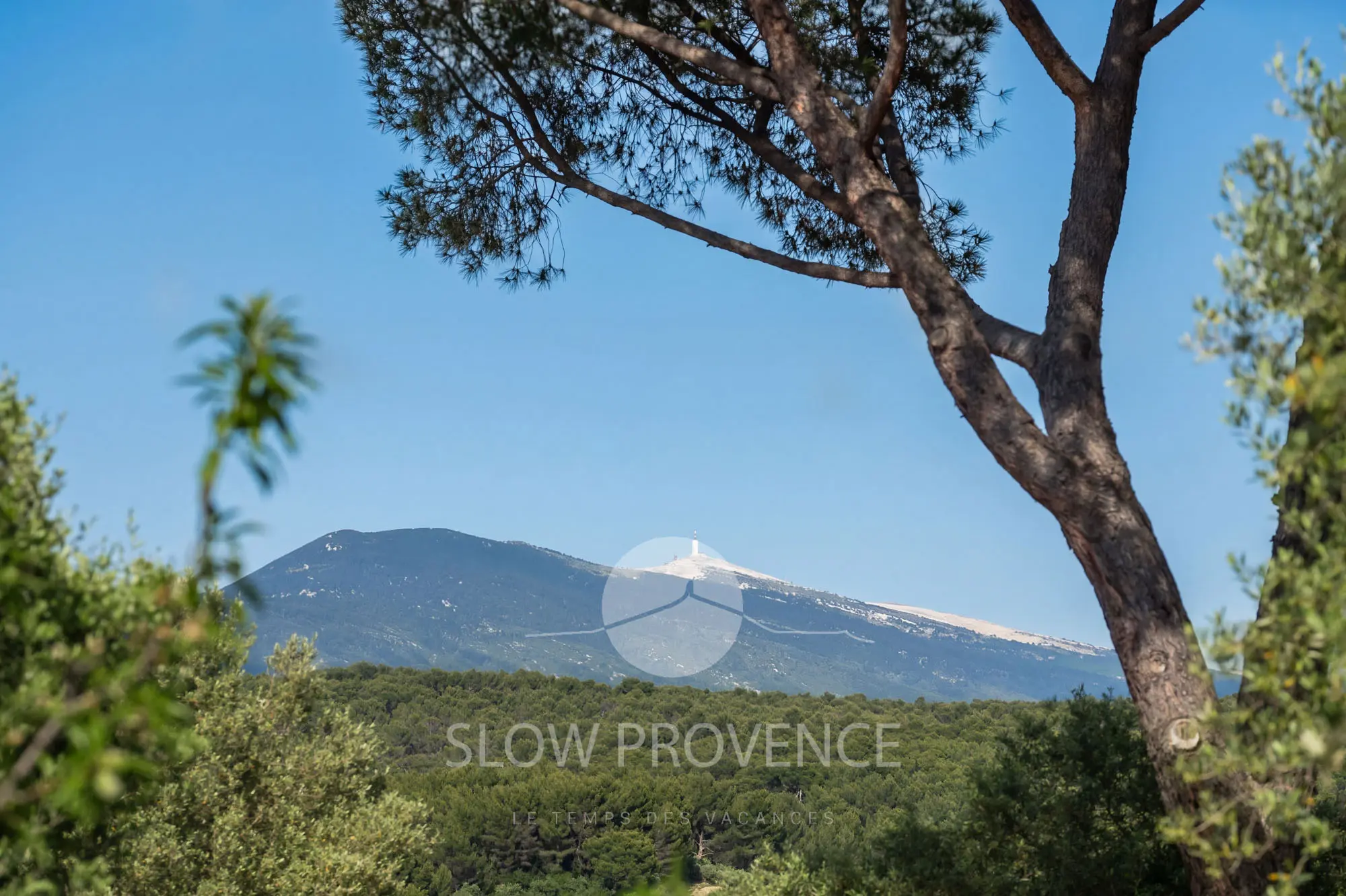 Mit Blick auf den Mont Ventoux