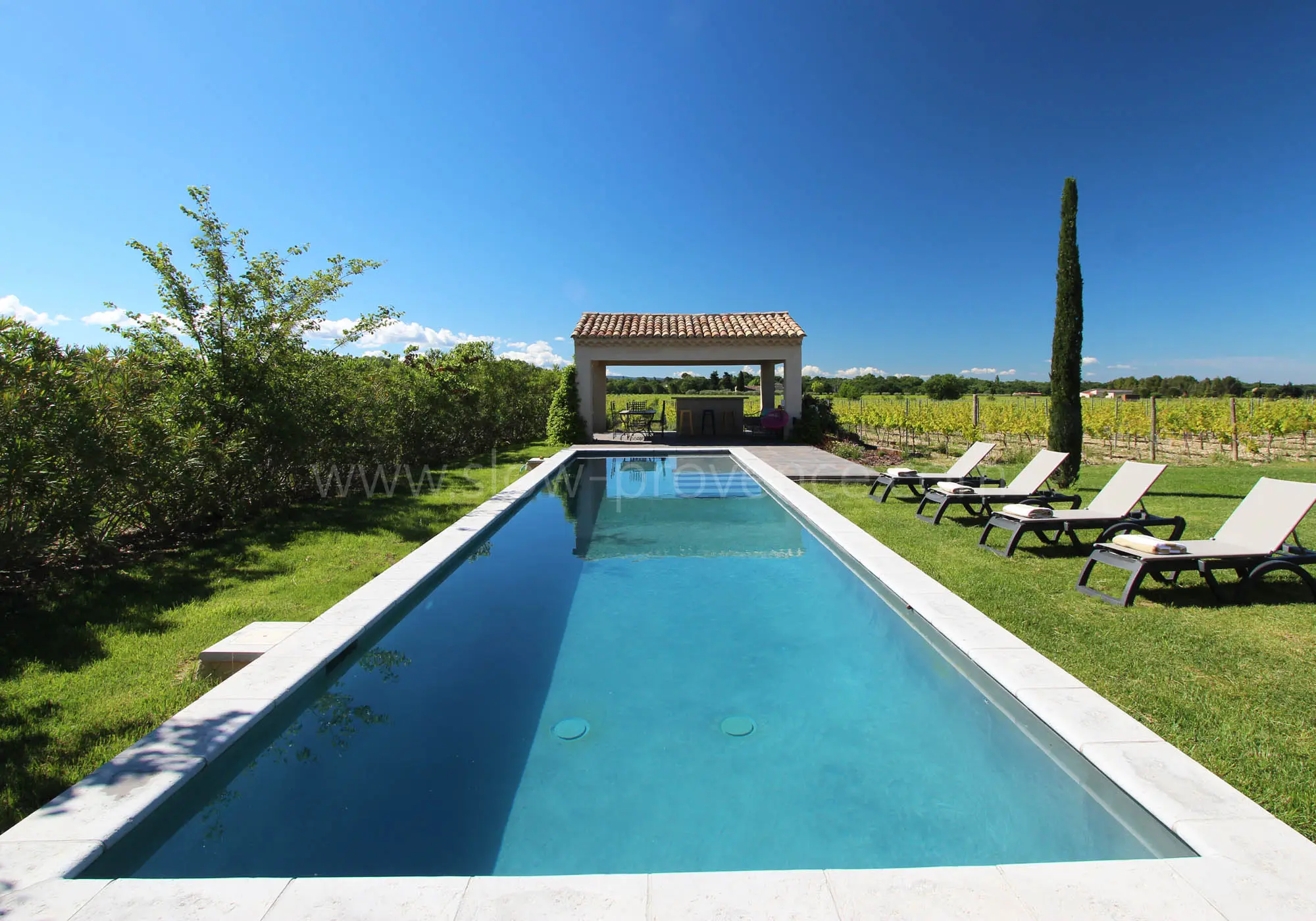 La piscine de 14m, ouverte sur les vignes