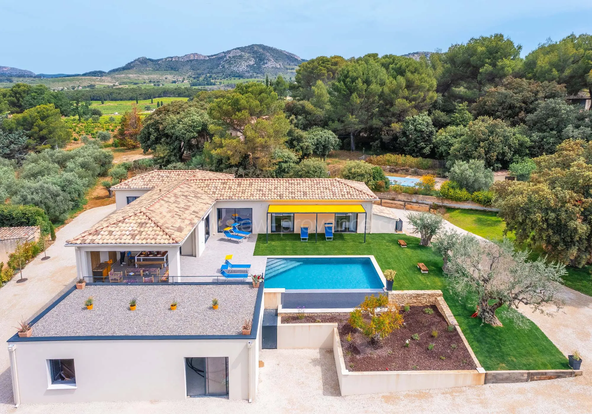 Les Dentelles de Montmirail en toile de fond