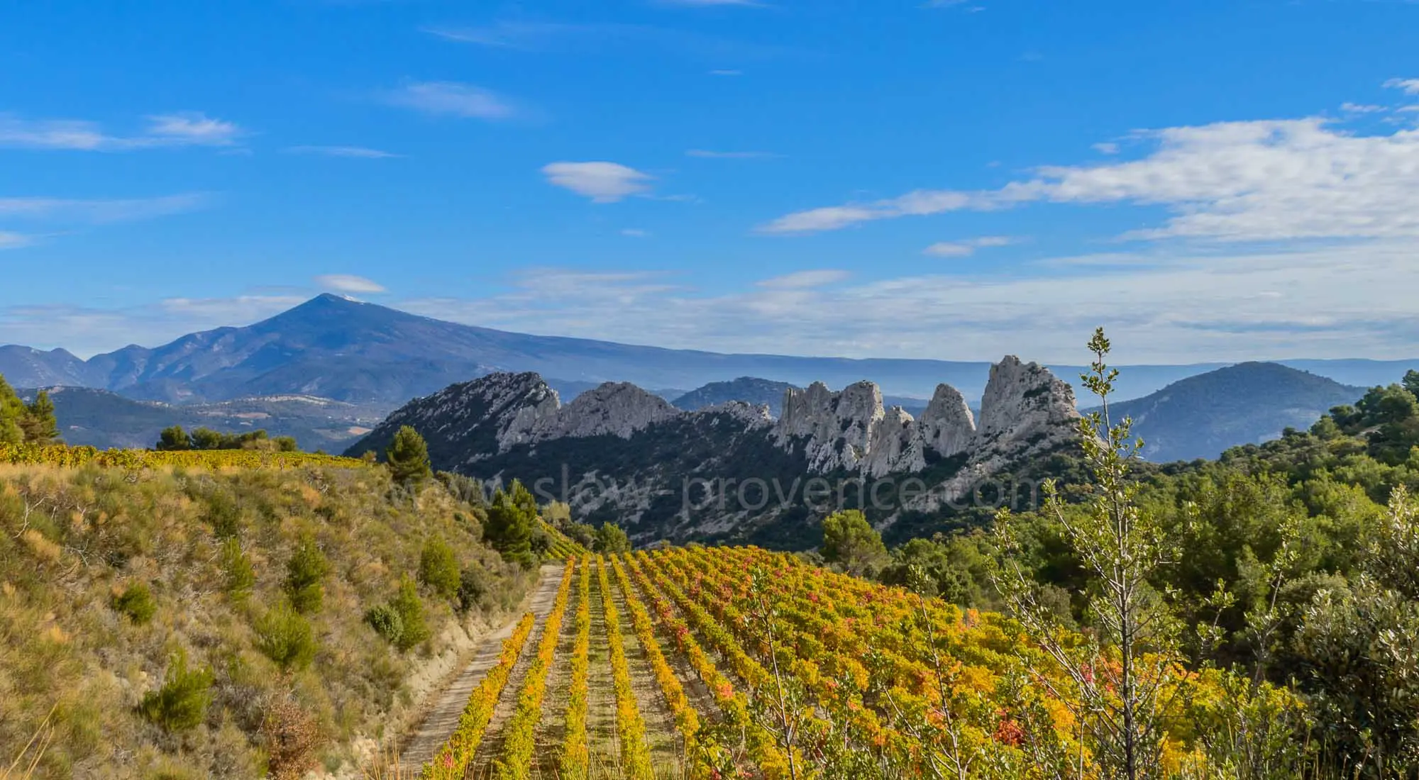 Dentelles de Montmiral und Mont Ventoux